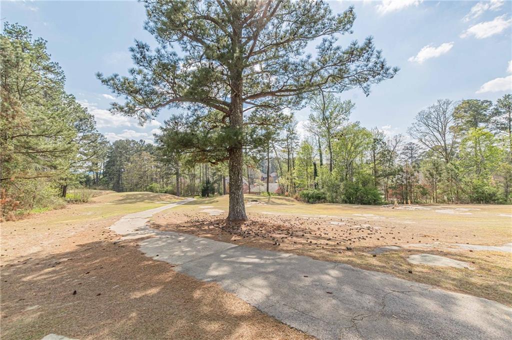 775 Southland Pass Stone Mountain, GA 30087 - Photo 72 of 76 a view of a yard with a tree