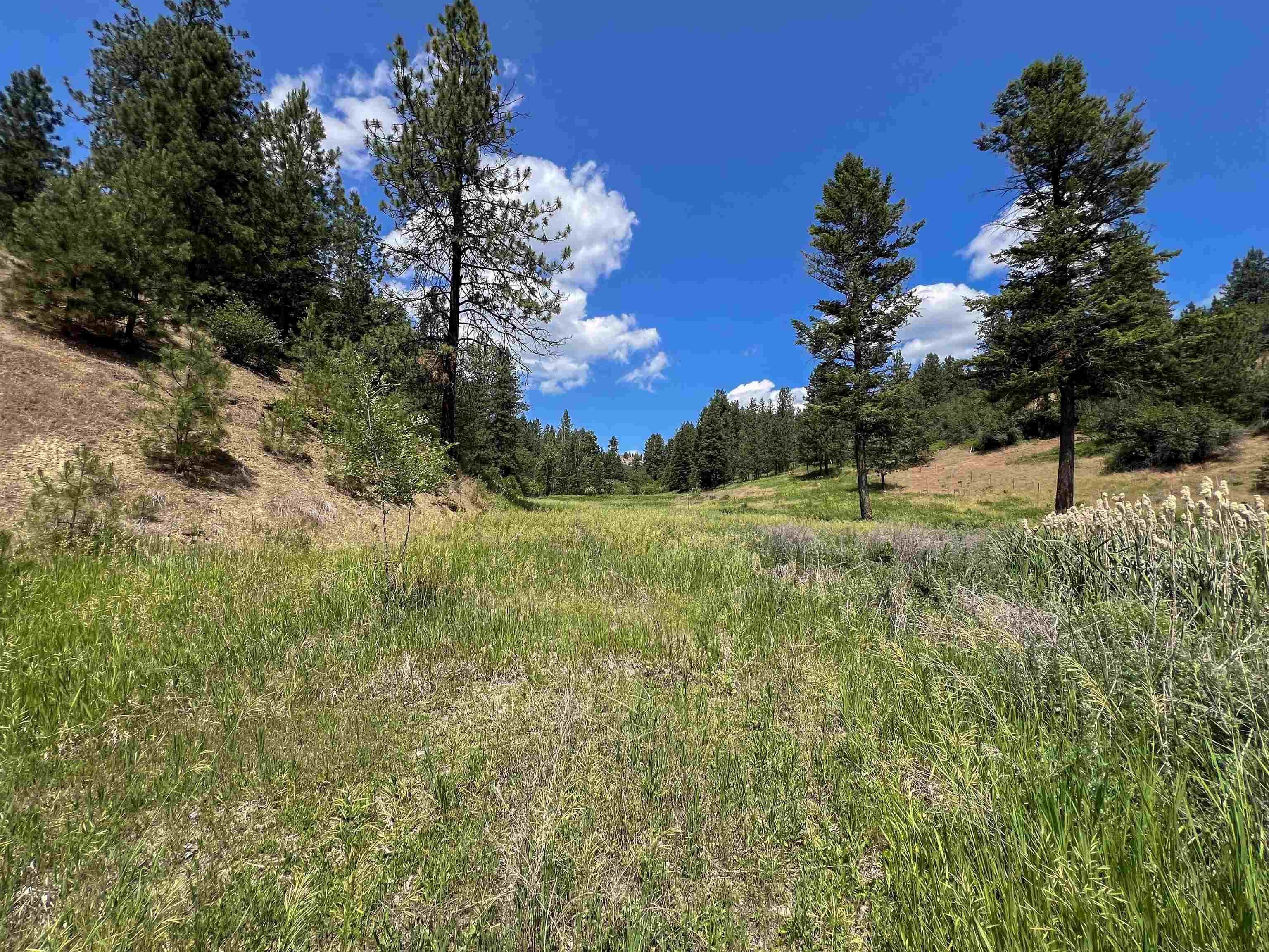 598 North 395th Highway Kettle Falls, WA 99141 - Photo 47 of 50