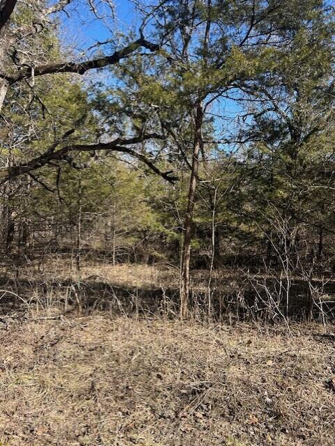 7789 West Co Road Chadwick, MO 65629 - Photo 1 of 1 thumbnail_IMG_2610