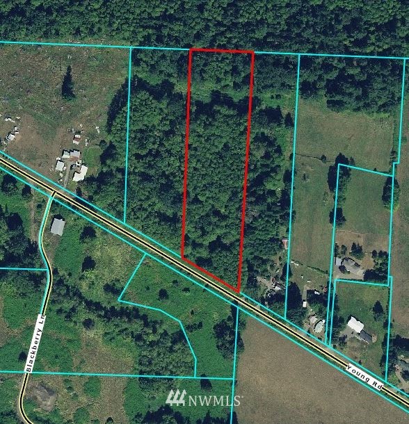 0-5000 Young Road Mossyrock, WA 98564 - Photo 1 of 5 Gallery Image 1