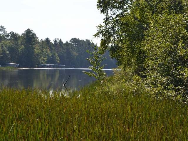 On Tomahawk River Road Tomahawk, WI 54487 - Photo 16 of 20 Gallery Image 16