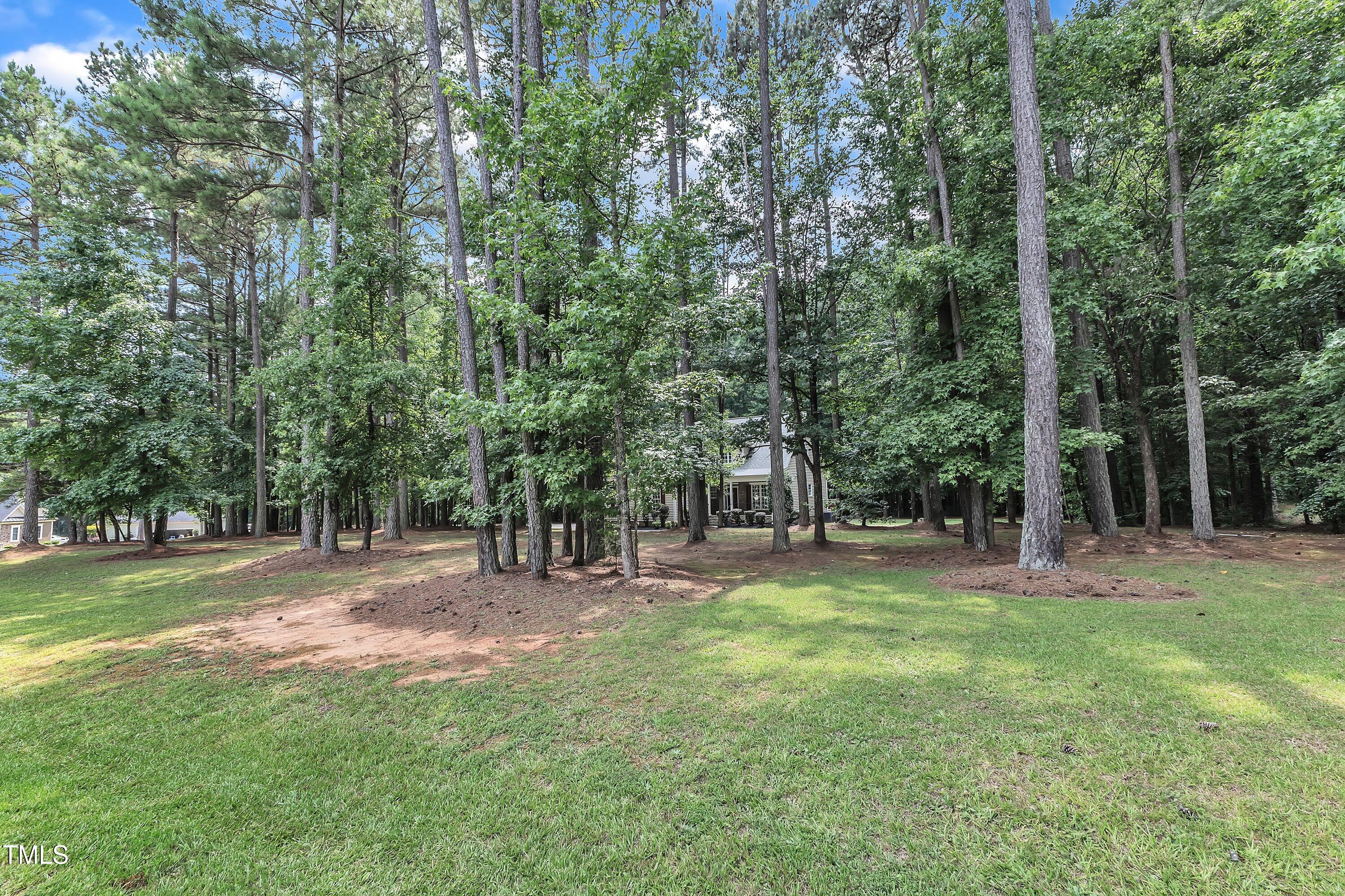 2103 Troys Trail Franklinton, NC 27525 - Photo 39 of 53 a backyard of a house with lots of green space and deers
