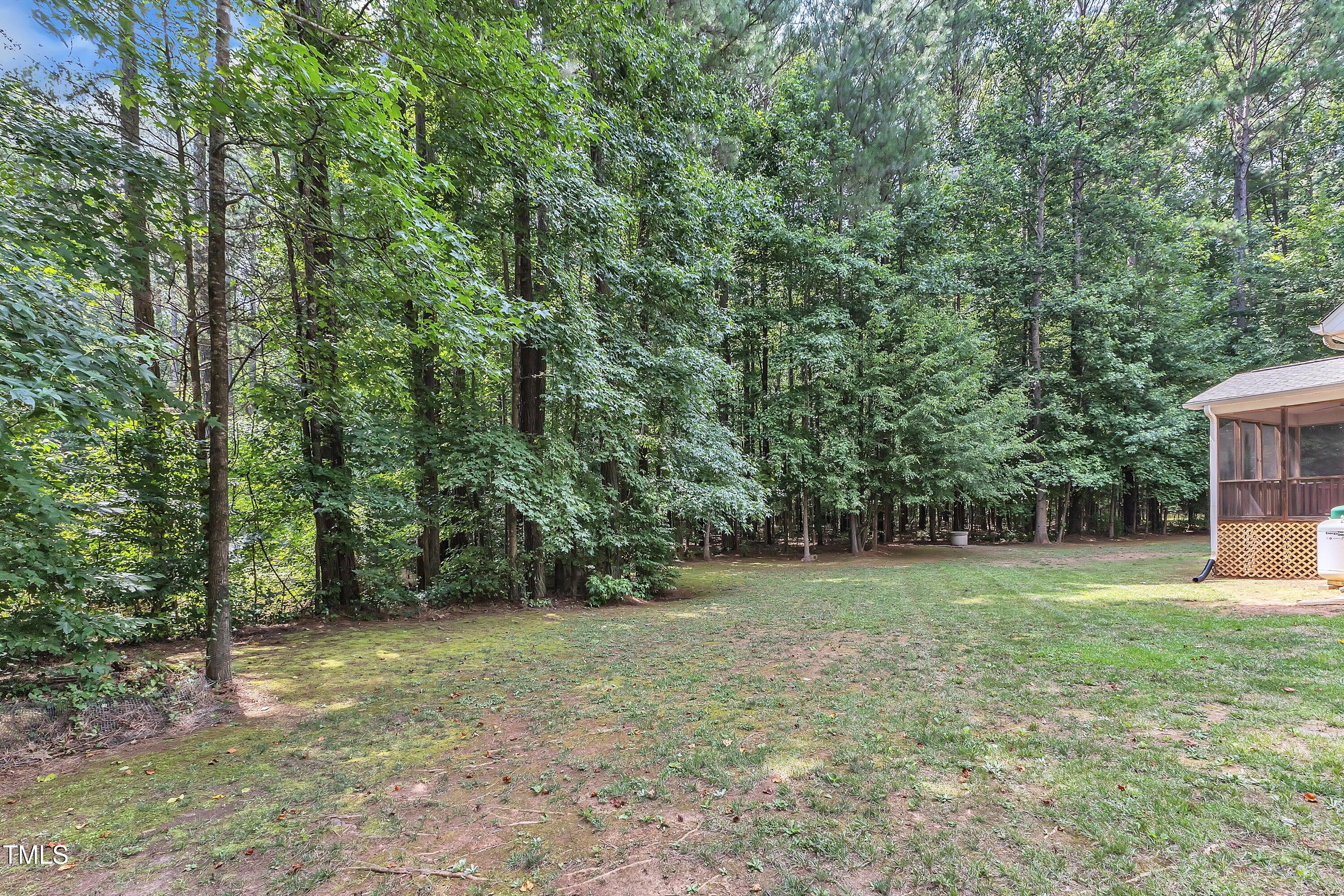 2103 Troys Trail Franklinton, NC 27525 - Photo 48 of 53 a view of a big yard with trees
