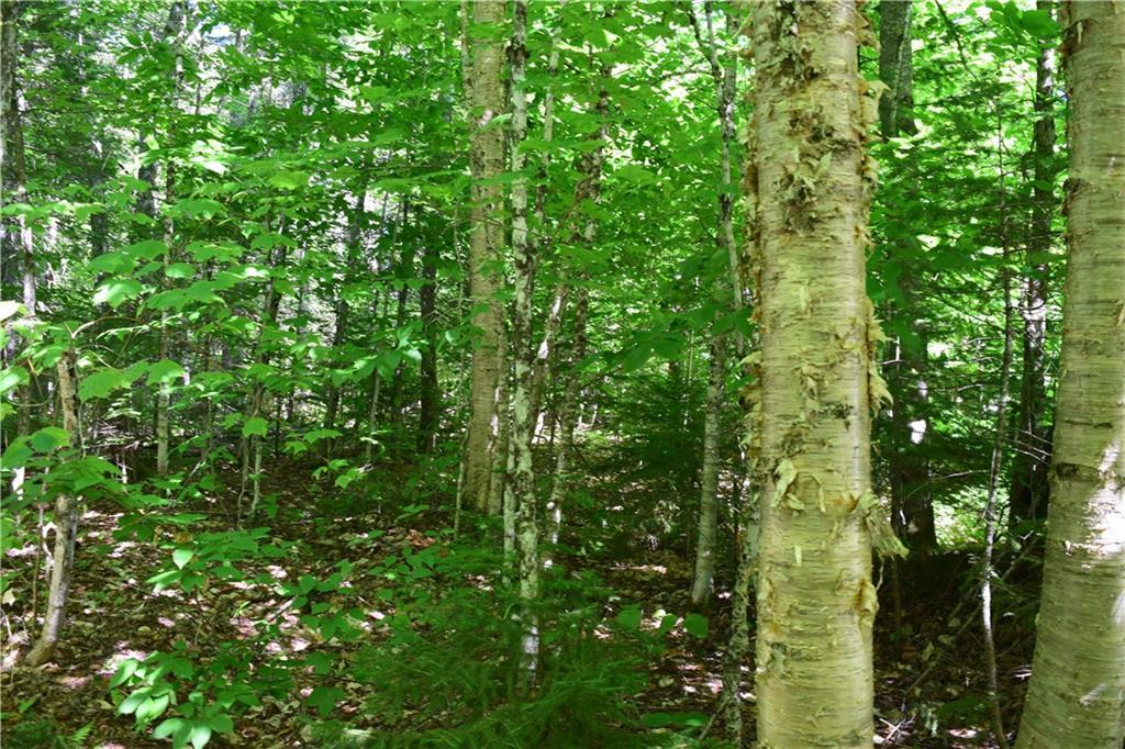 Map 15-lot Map 15-lot Gardiner Point Rd Mount Mount Chase, ME 04765 - Photo 7 of 12 Photo