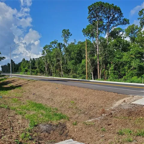 a view of a yard with plants and a bench