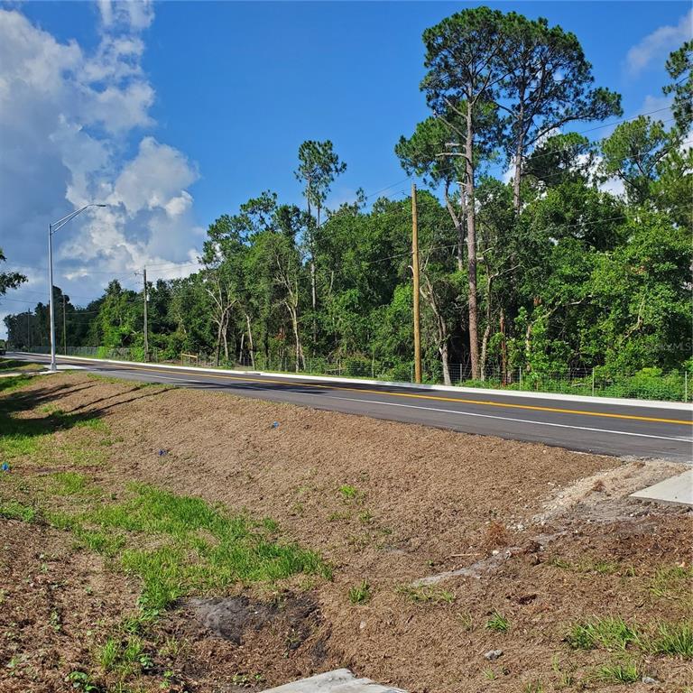 Pollard Road Bartow, FL 33830 - Photo 14 of 17 a view of outdoor space and garden