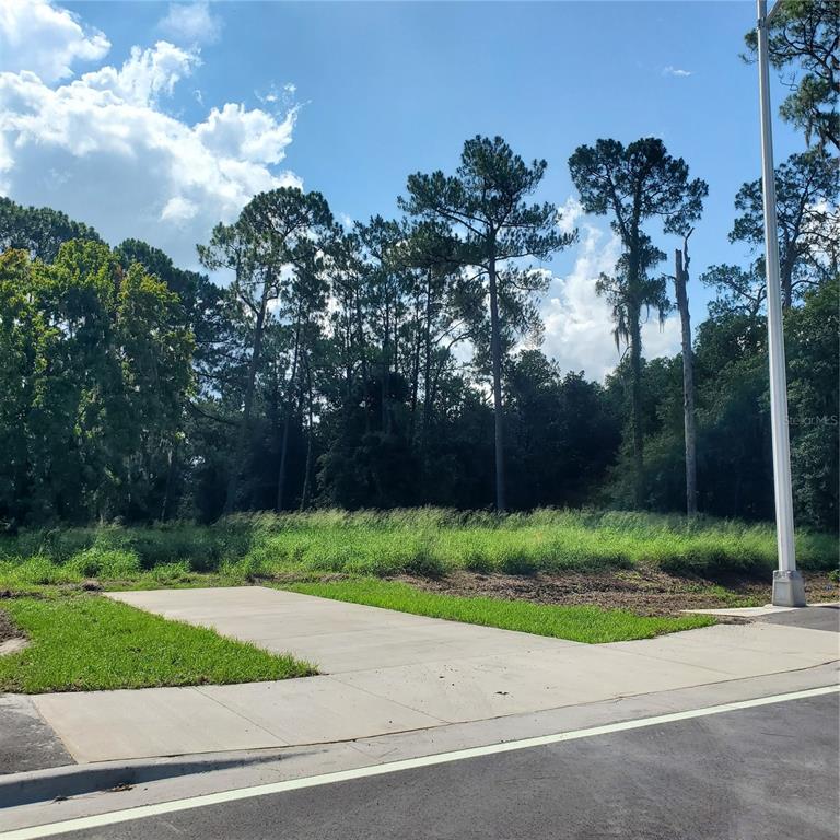 Pollard Road Bartow, FL 33830 - Photo 4 of 17 a view of a yard with plants and a fountain