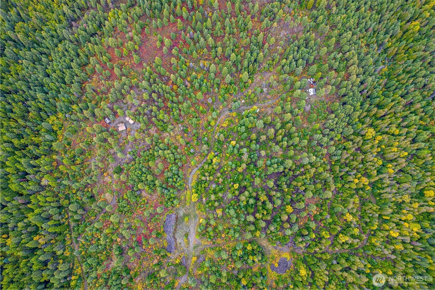 2518 Bodie Mountain Road Colville, WA 99114 - Photo 16 of 40