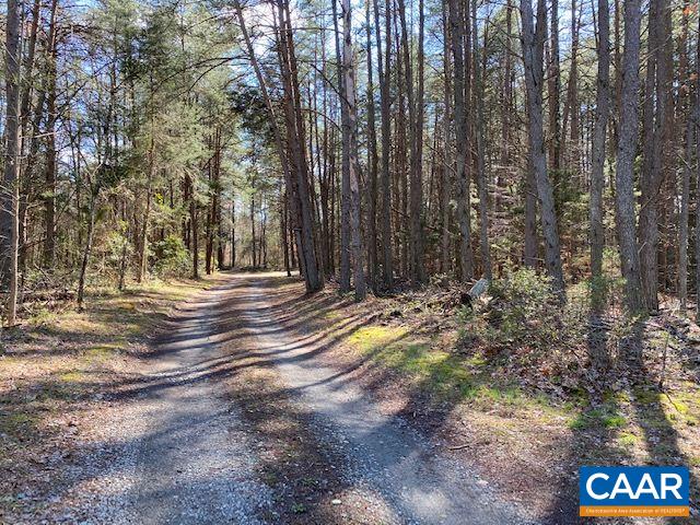 60-118 Rising Sun Road Mineral, VA 23117 - Photo 2 of 4 Gallery Image 2