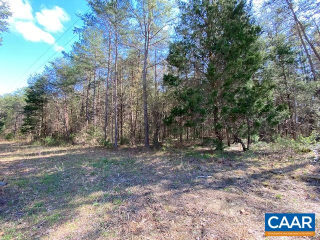 60-118 Rising Sun Road Mineral, VA 23117 - Photo 3 of 4 Gallery Image 3