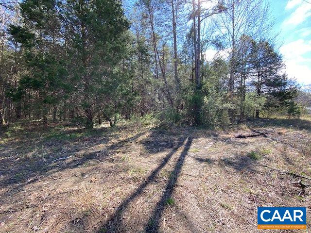 60-118 Rising Sun Road Mineral, VA 23117 - Photo 4 of 4 Gallery Image 4