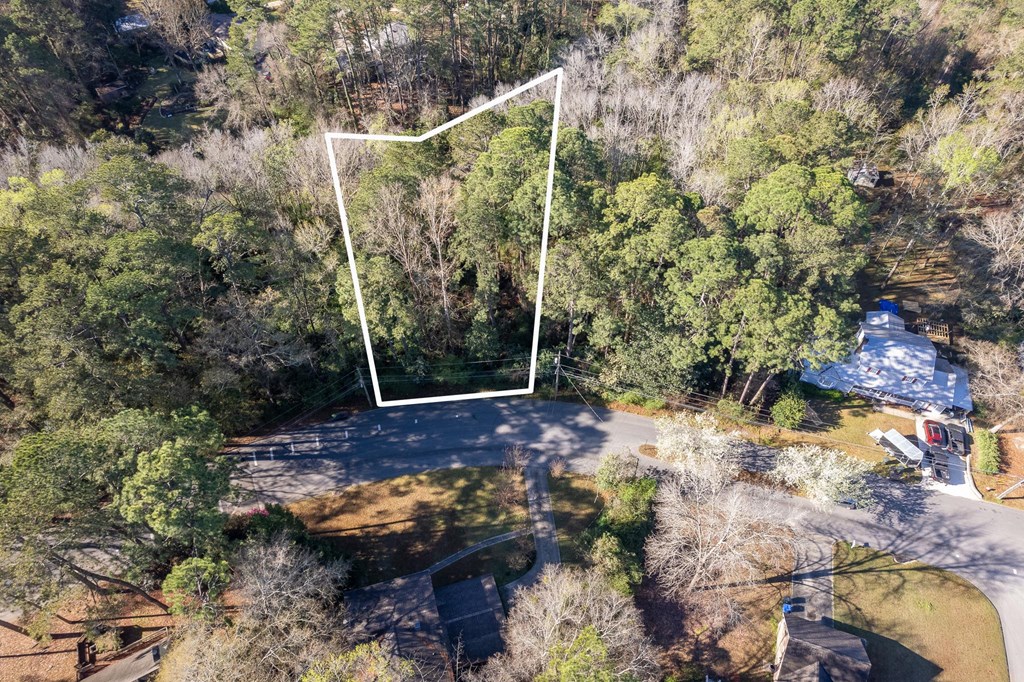 0 Shady Brook Lane Dothan, AL 36303 - Photo 2 of 7
