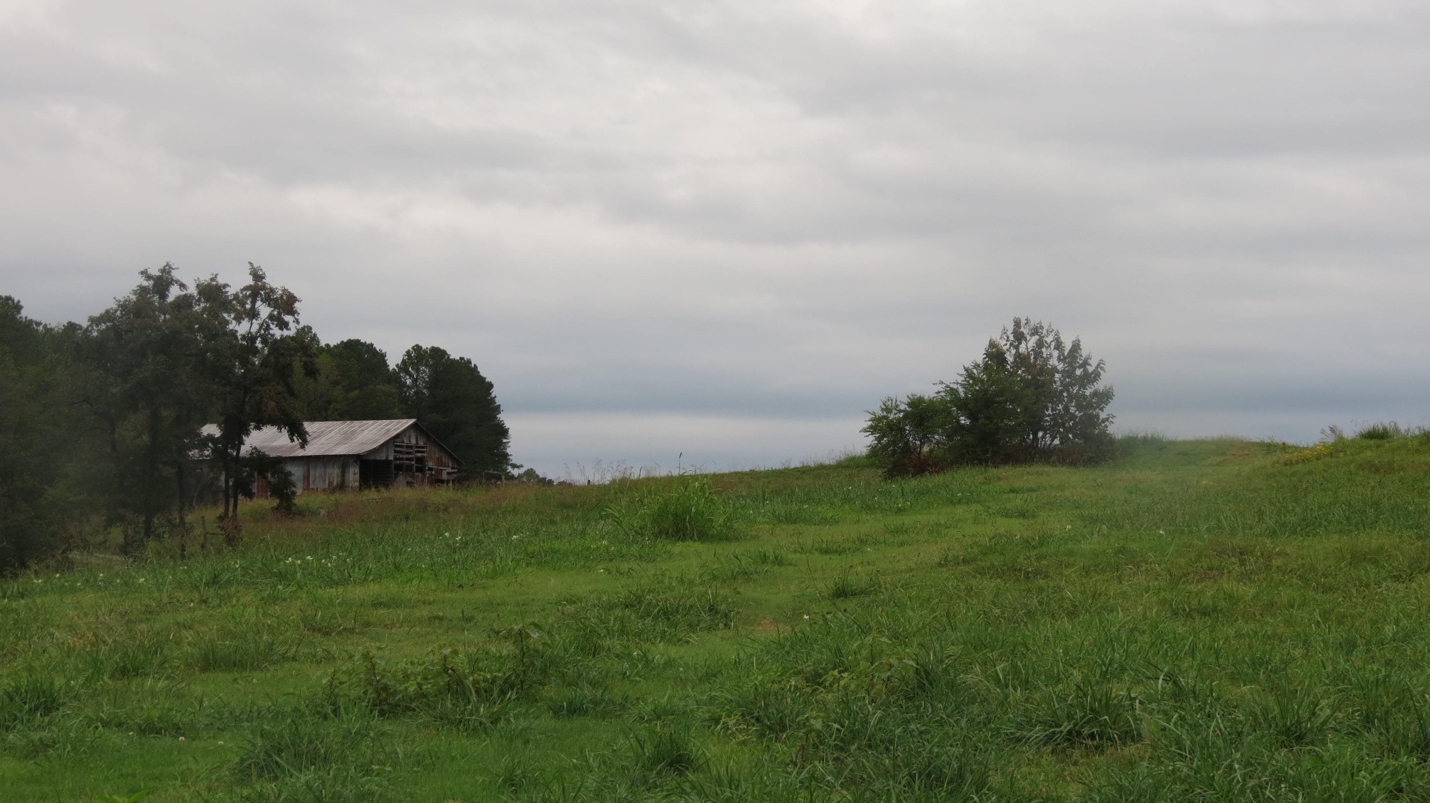 562 Roach Road Decaturville, TN 38329 - Photo 15 of 31 a backyard of a house with table and chairs