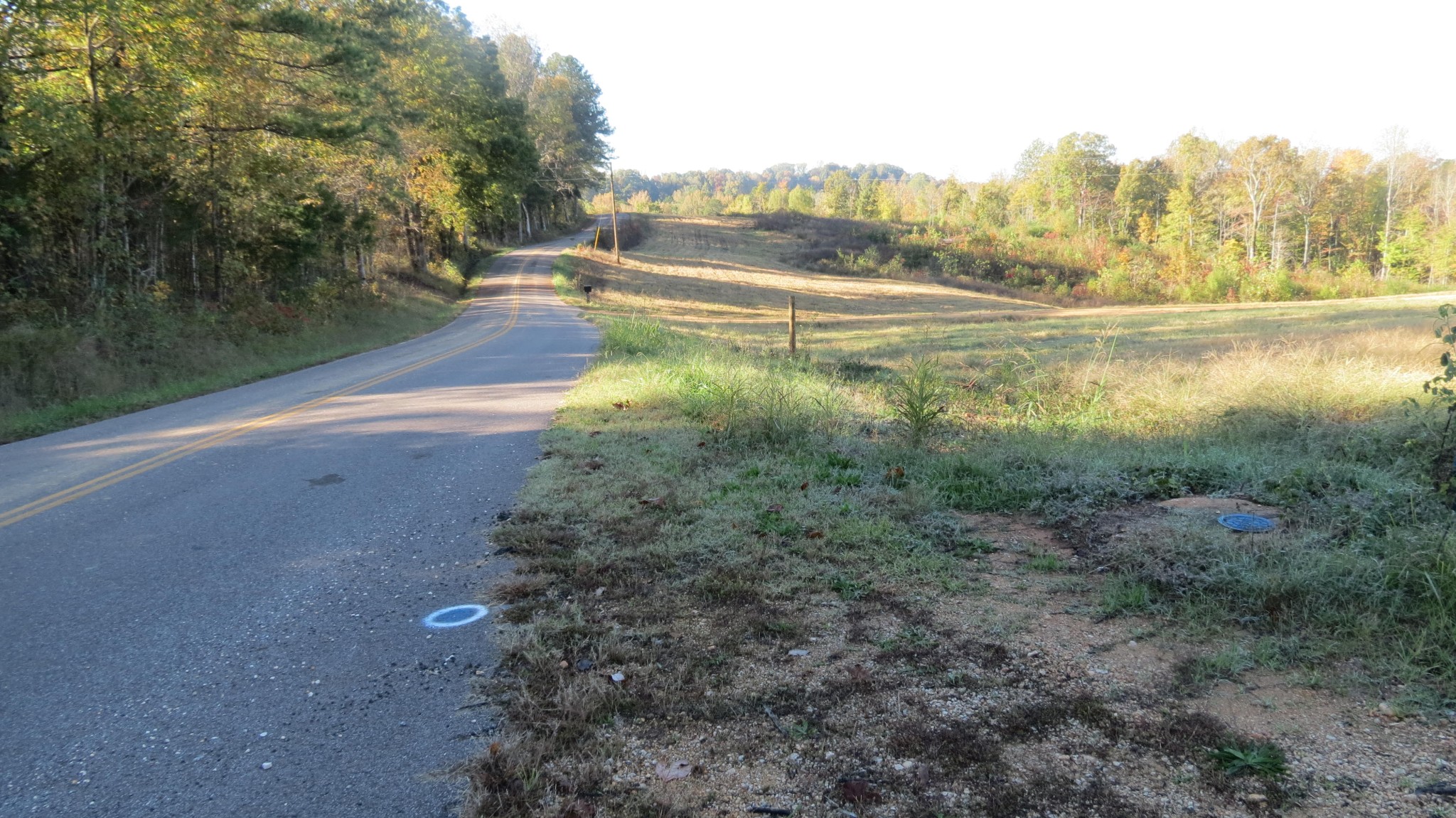 562 Roach Road Decaturville, TN 38329 - Photo 17 of 31