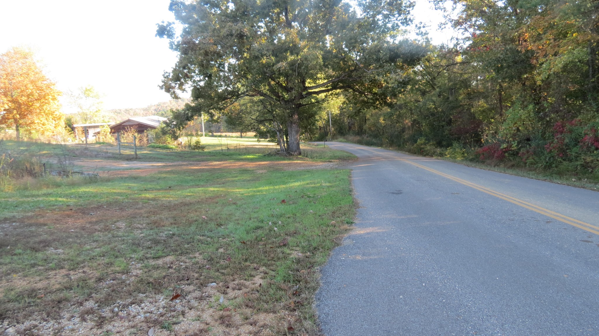 562 Roach Road Decaturville, TN 38329 - Photo 18 of 31