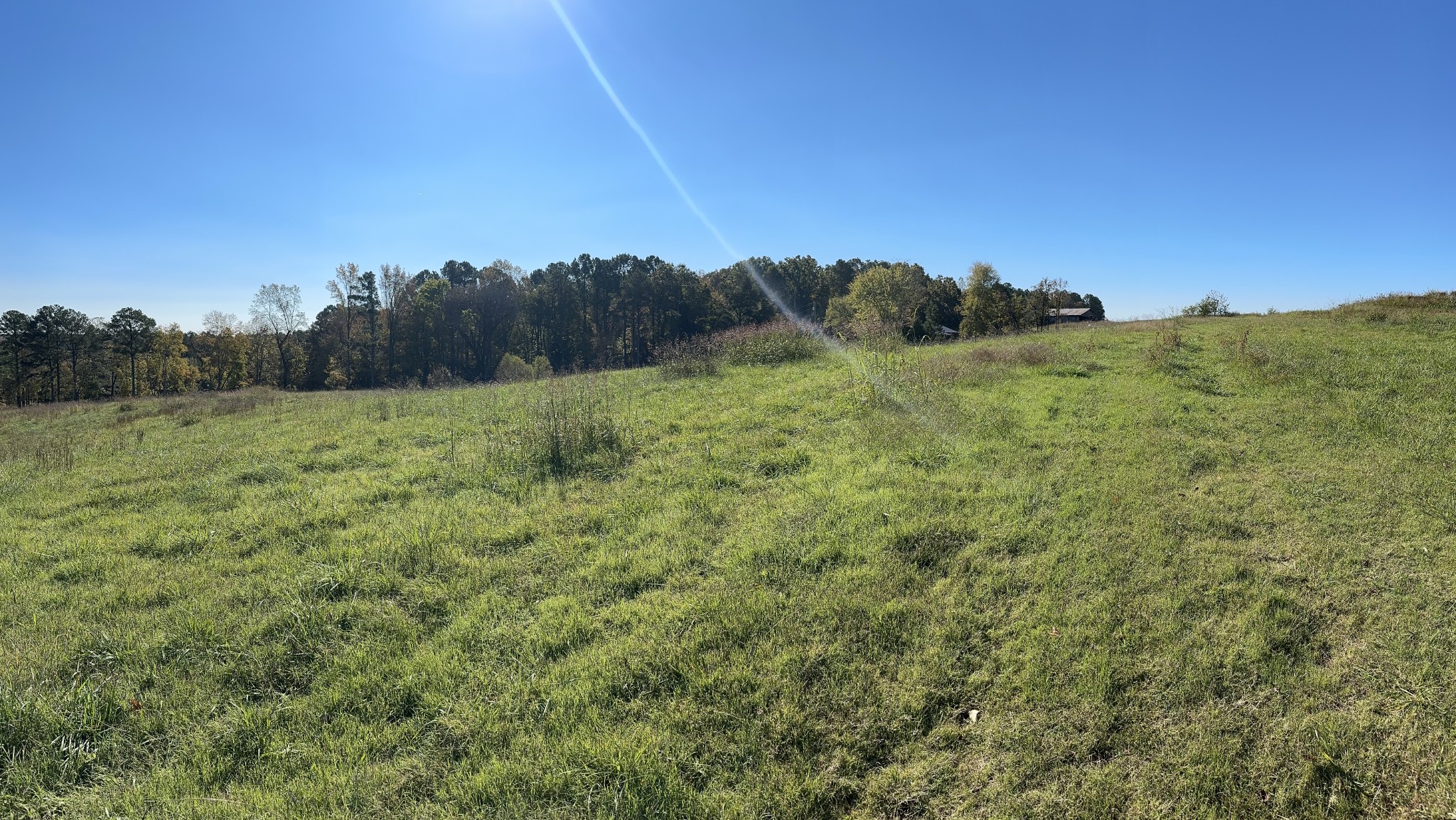 562 Roach Road Decaturville, TN 38329 - Photo 21 of 31