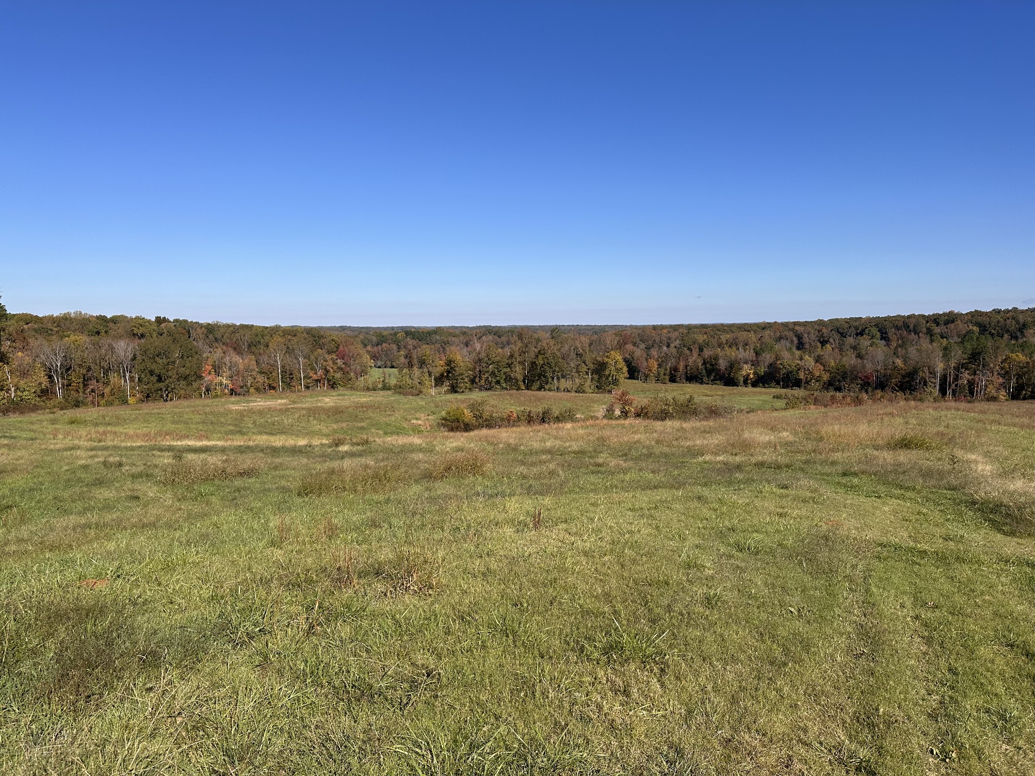 562 Roach Road Decaturville, TN 38329 - Photo 22 of 31 a view of a field with an ocean view