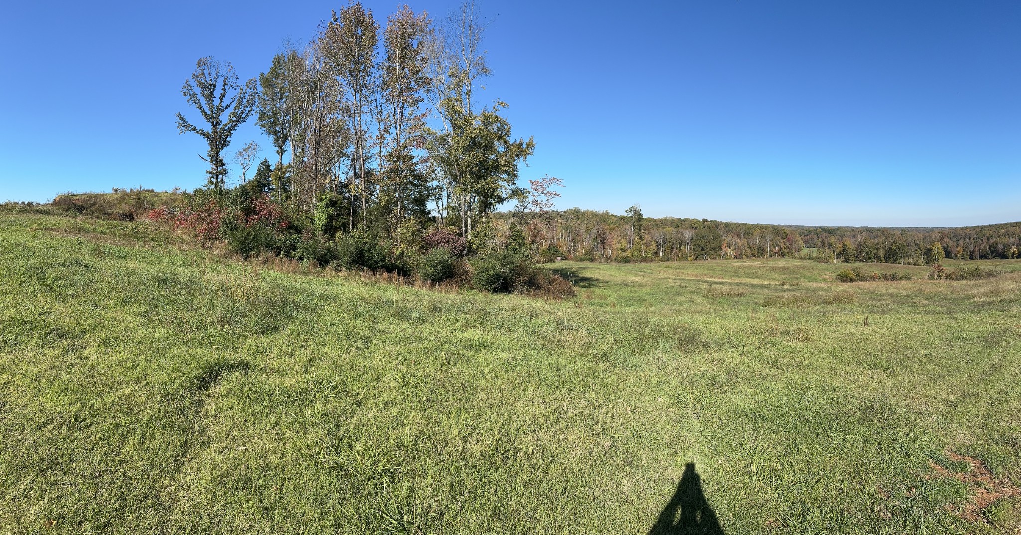 562 Roach Road Decaturville, TN 38329 - Photo 23 of 31 a view of a field with an trees