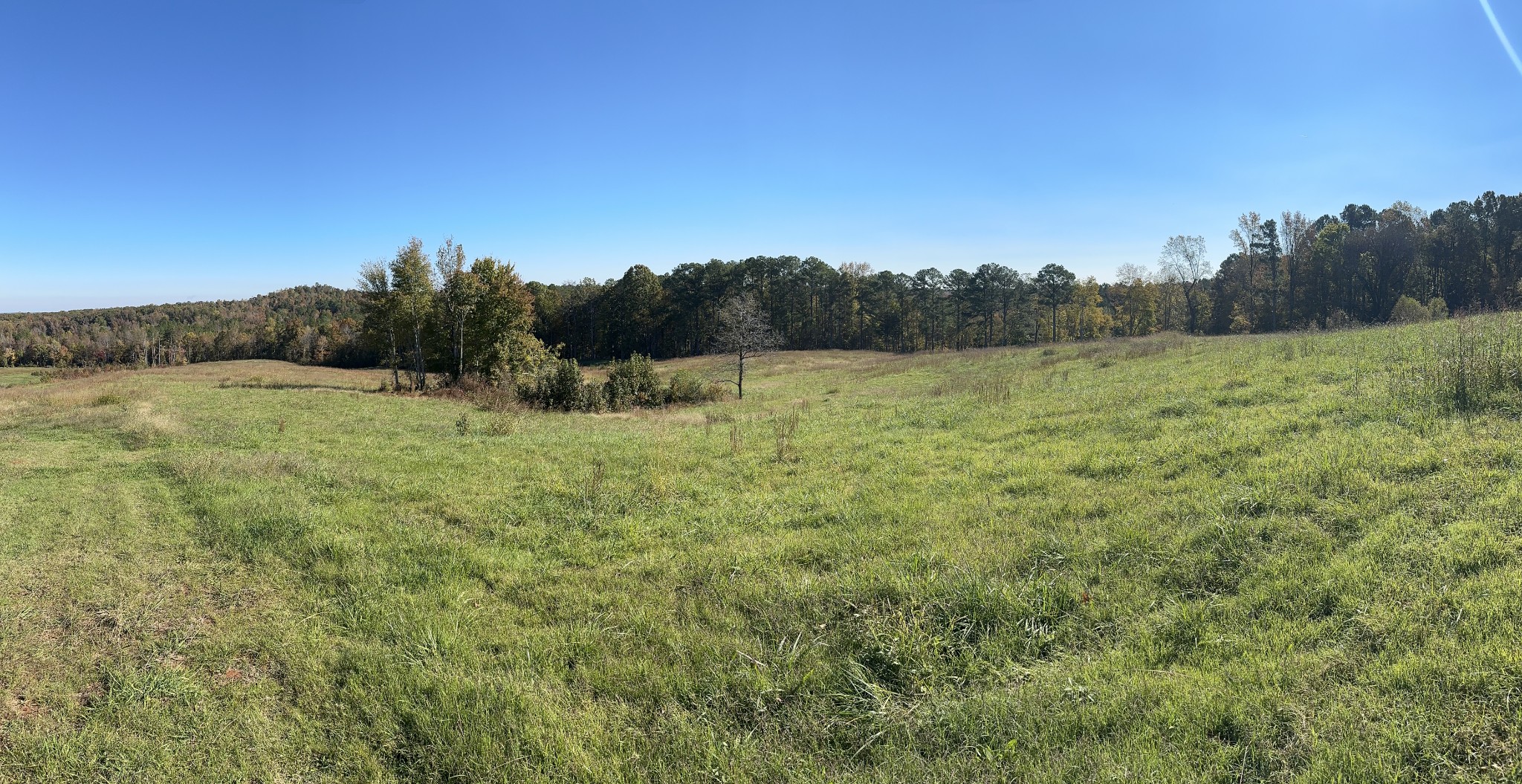 562 Roach Road Decaturville, TN 38329 - Photo 24 of 31 a view of an outdoor space and a yard