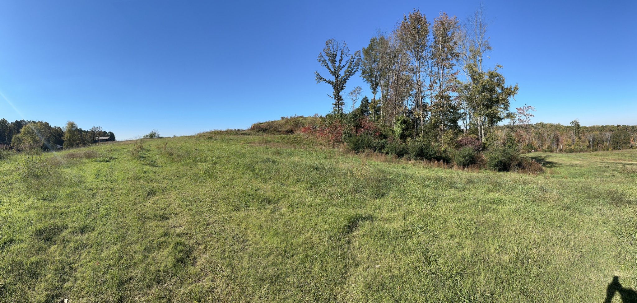 562 Roach Road Decaturville, TN 38329 - Photo 26 of 31 a view of a lush green space with sea