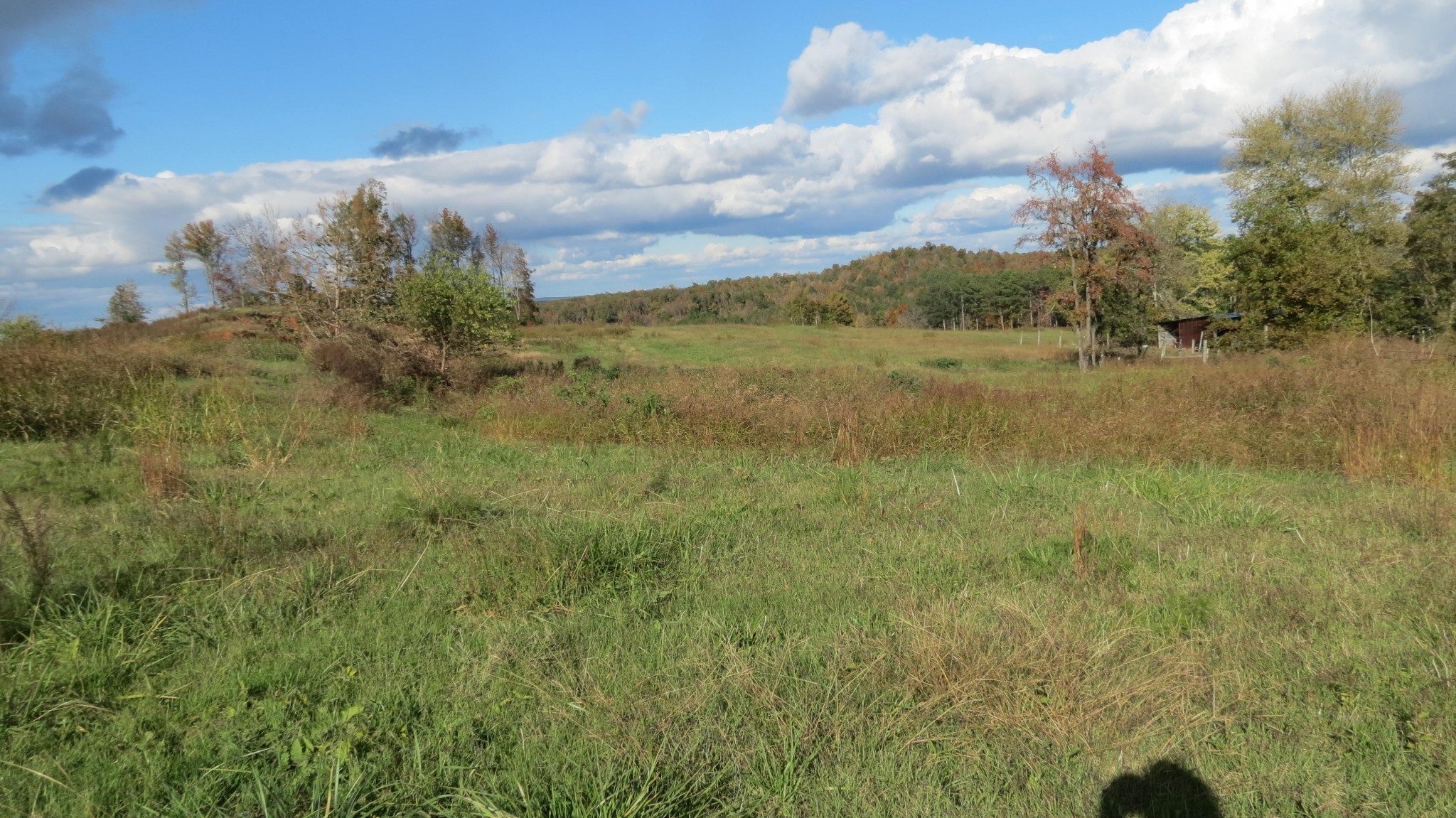 562 Roach Road Decaturville, TN 38329 - Photo 27 of 31