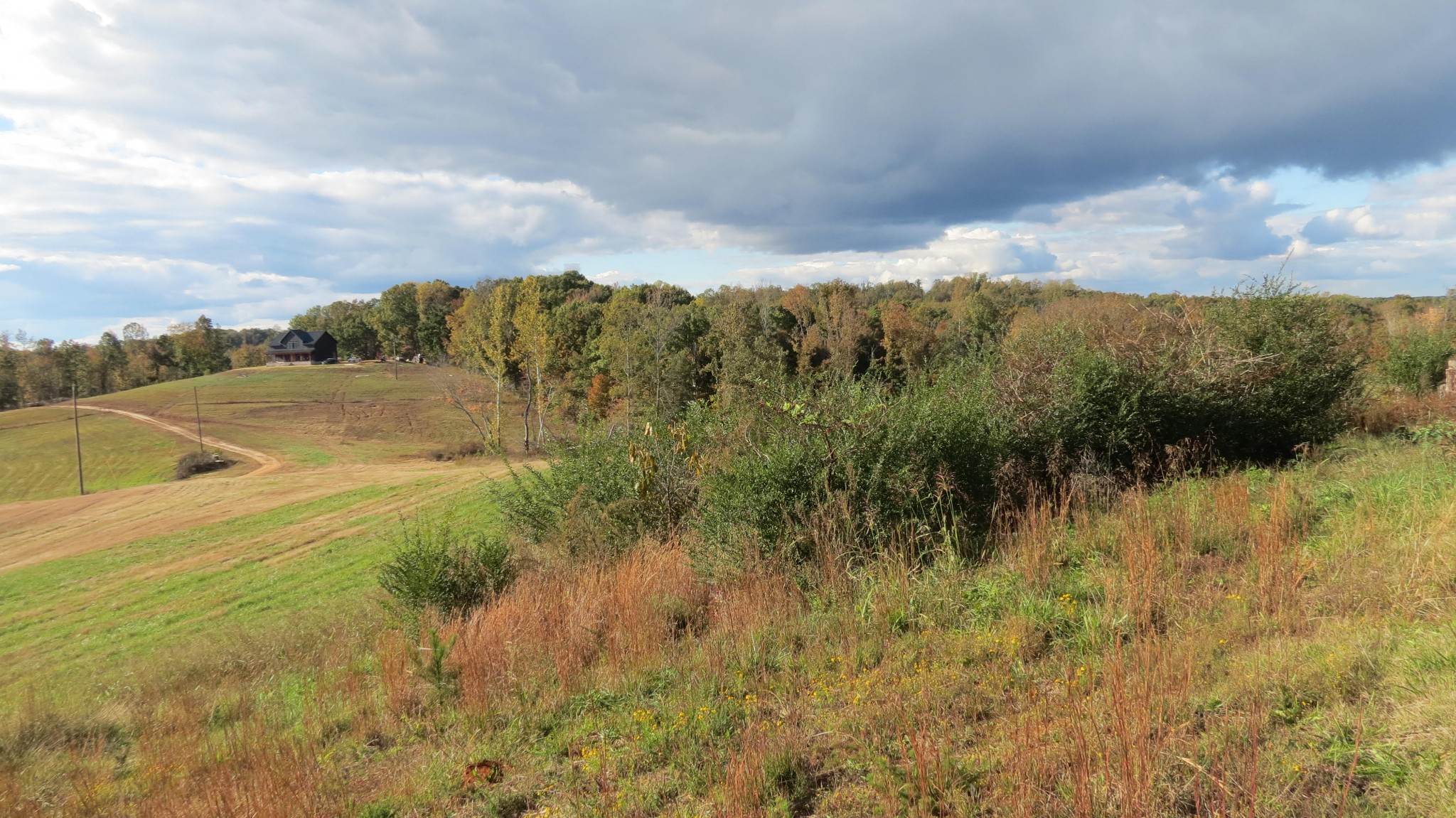 562 Roach Road Decaturville, TN 38329 - Photo 30 of 31