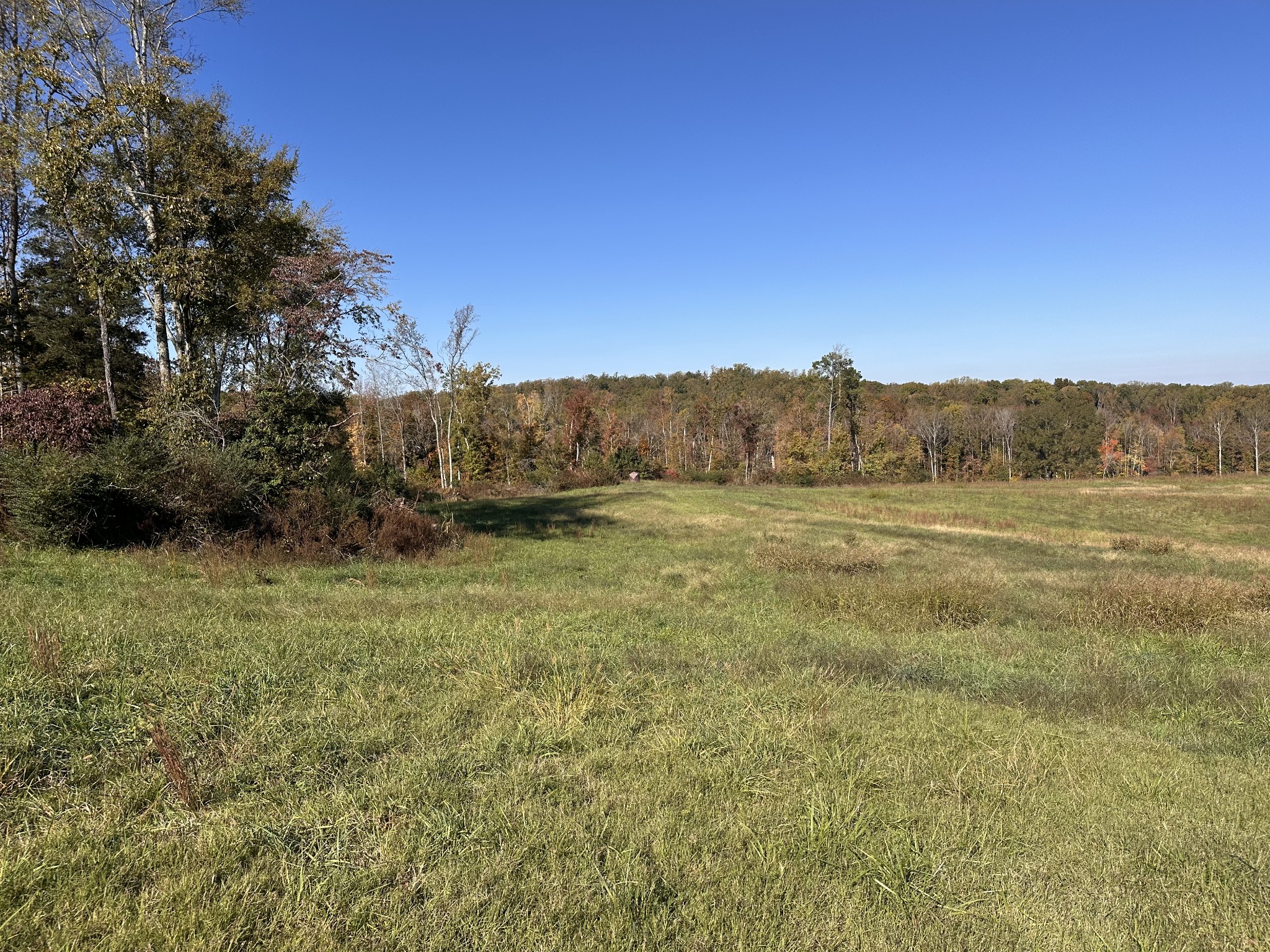 562 Roach Road Decaturville, TN 38329 - Photo 3 of 31 a view of a field with a tree in the background