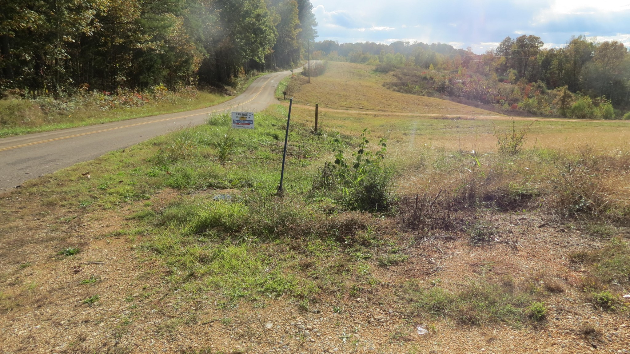 562 Roach Road Decaturville, TN 38329 - Photo 31 of 31