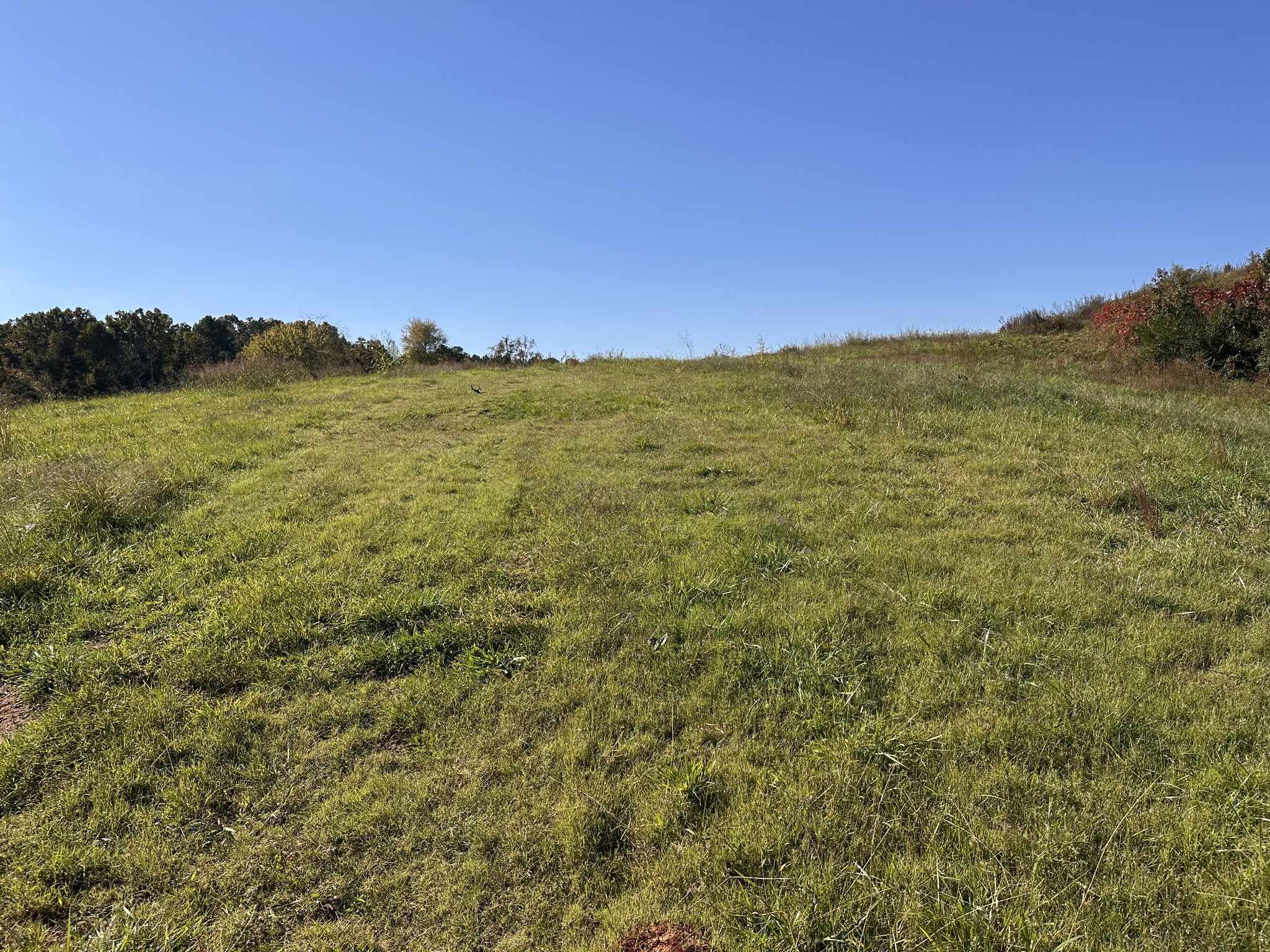 562 Roach Road Decaturville, TN 38329 - Photo 4 of 31 a view of a large sunset with a lush green field
