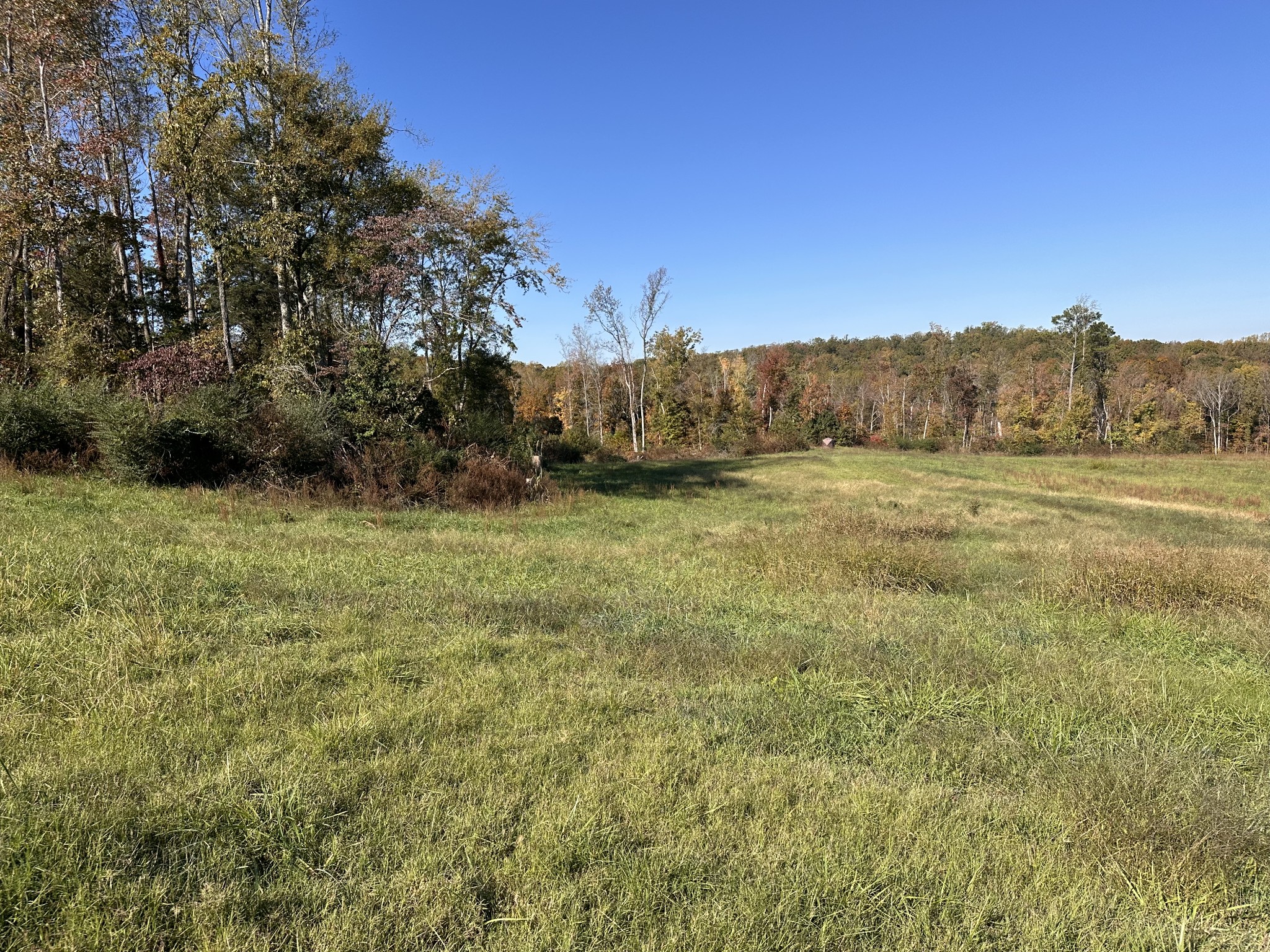 562 Roach Road Decaturville, TN 38329 - Photo 5 of 31