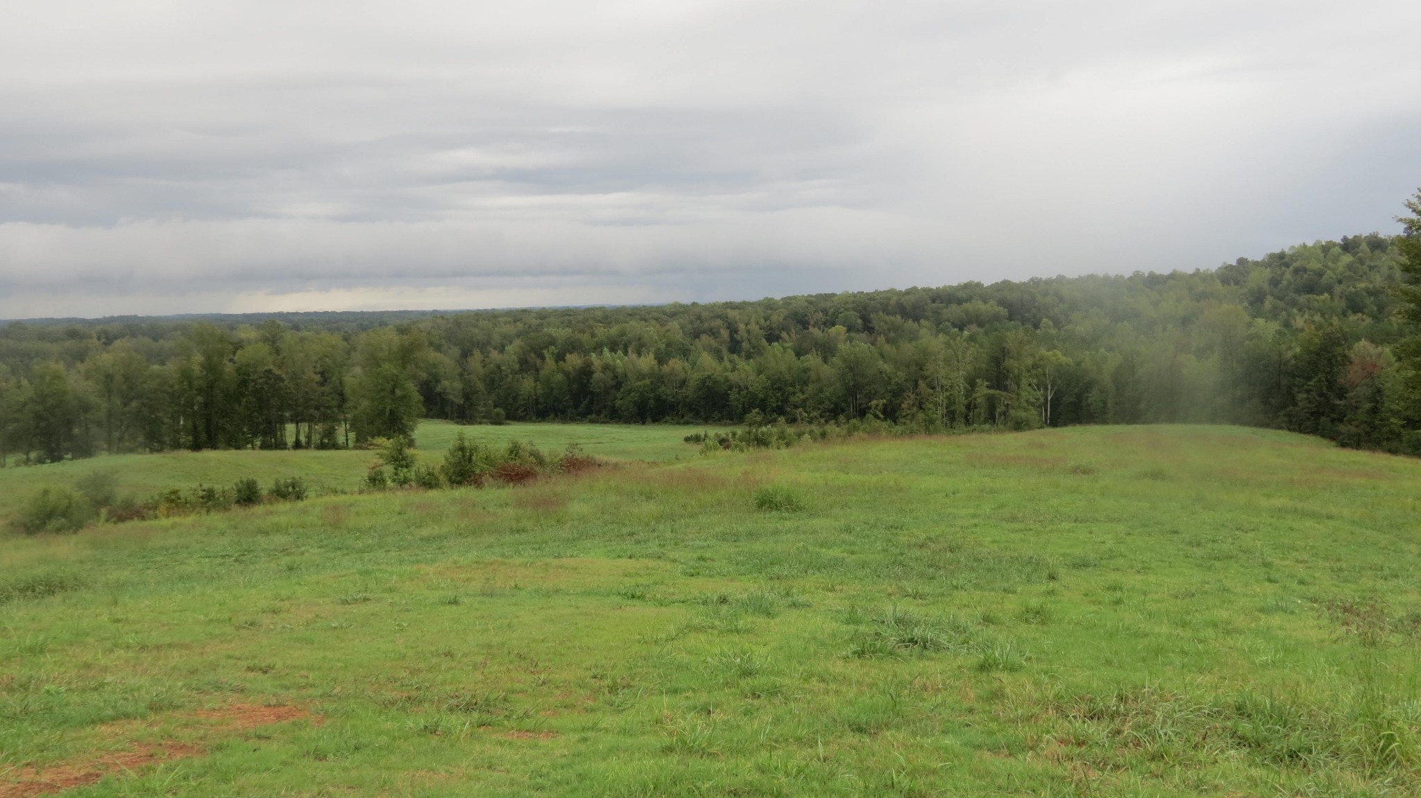 562 Roach Road Decaturville, TN 38329 - Photo 6 of 31