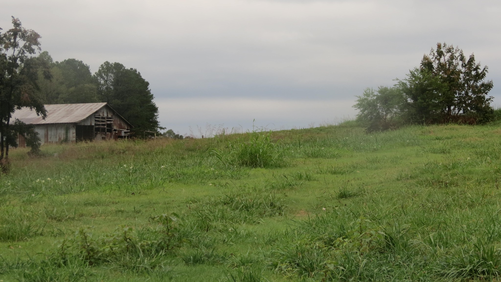 562 Roach Road Decaturville, TN 38329 - Photo 7 of 31