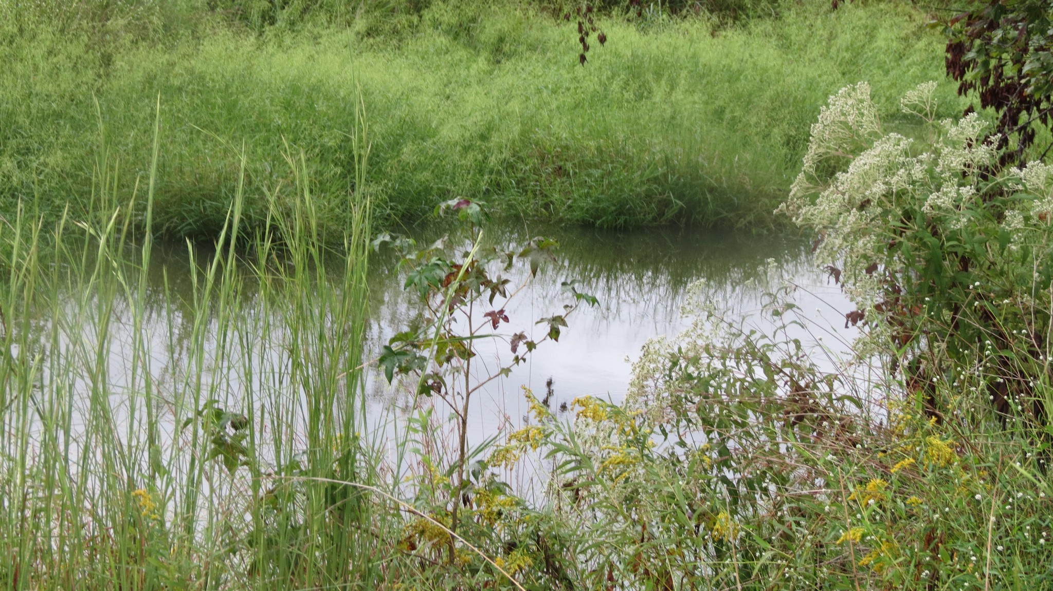 562 Roach Road Decaturville, TN 38329 - Photo 10 of 31 a view of a lake