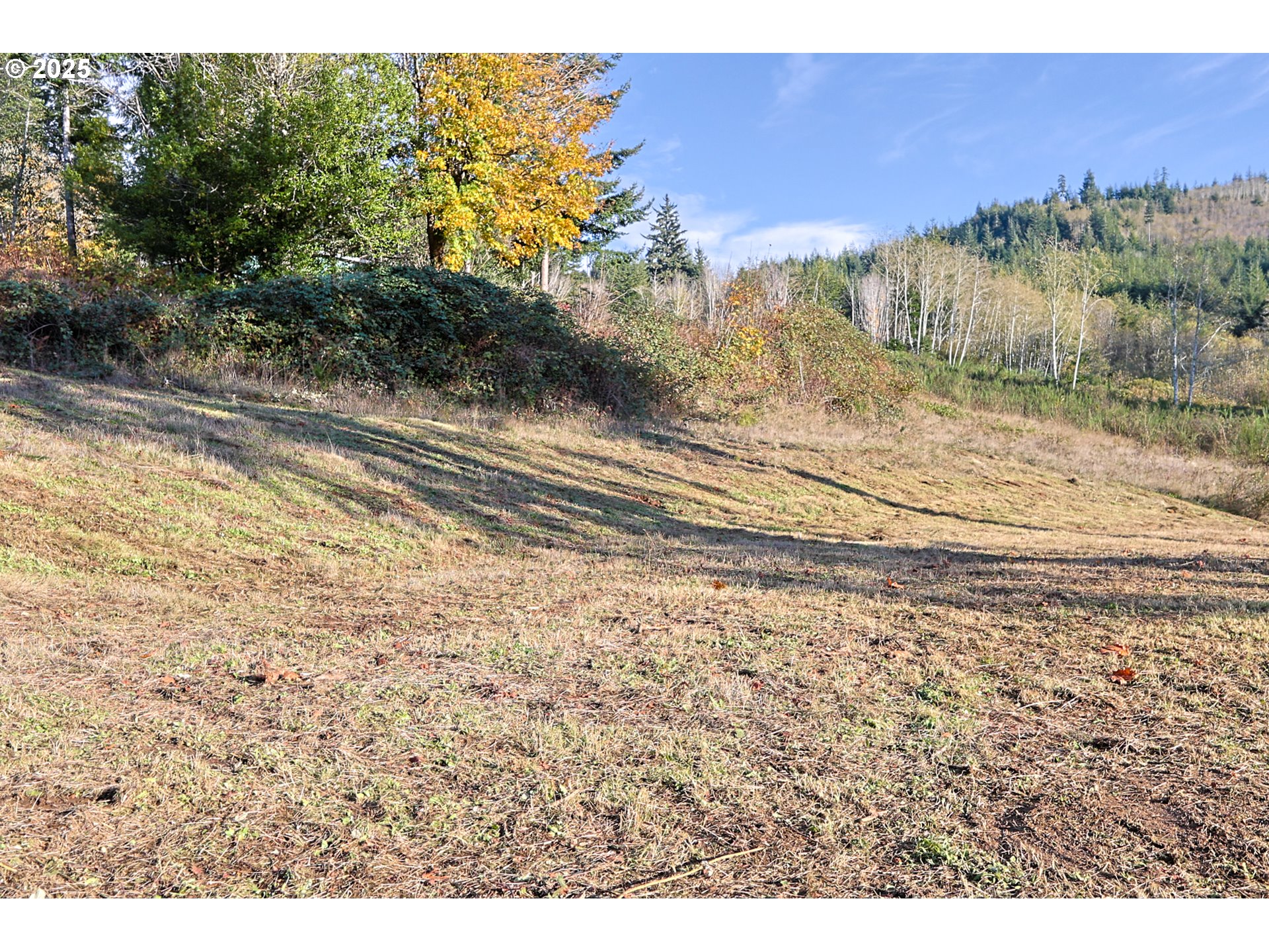 16 Bartleson Road, Unit 1418 Coos Bay, OR 97420 - Photo 8 of 10 a view of a yard with mountain