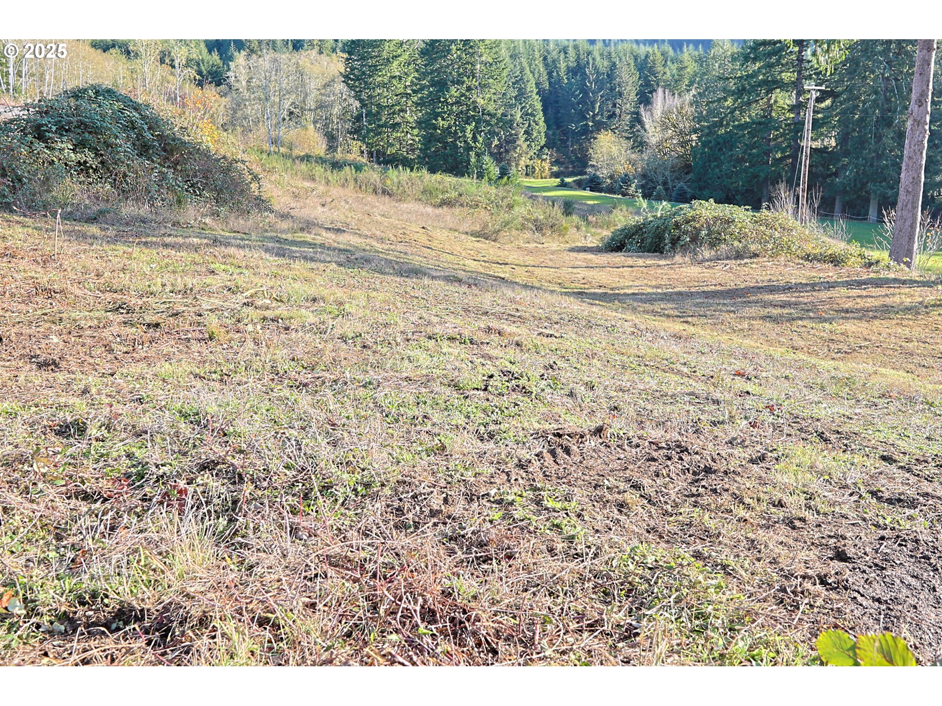16 Bartleson Road, Unit 1418 Coos Bay, OR 97420 - Photo 9 of 10 a view of a yard with a house