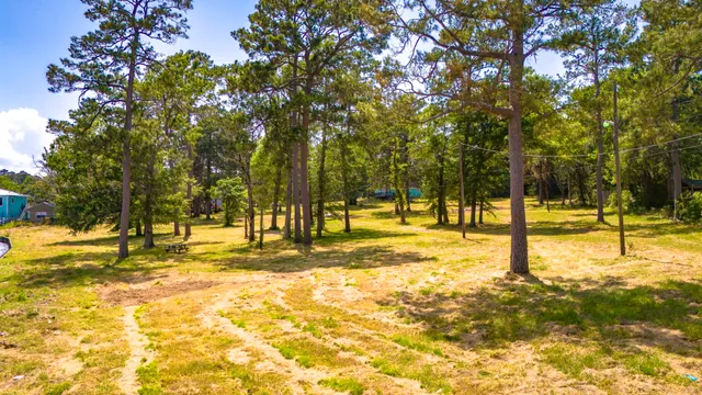 a view of yard with swimming pool and trees