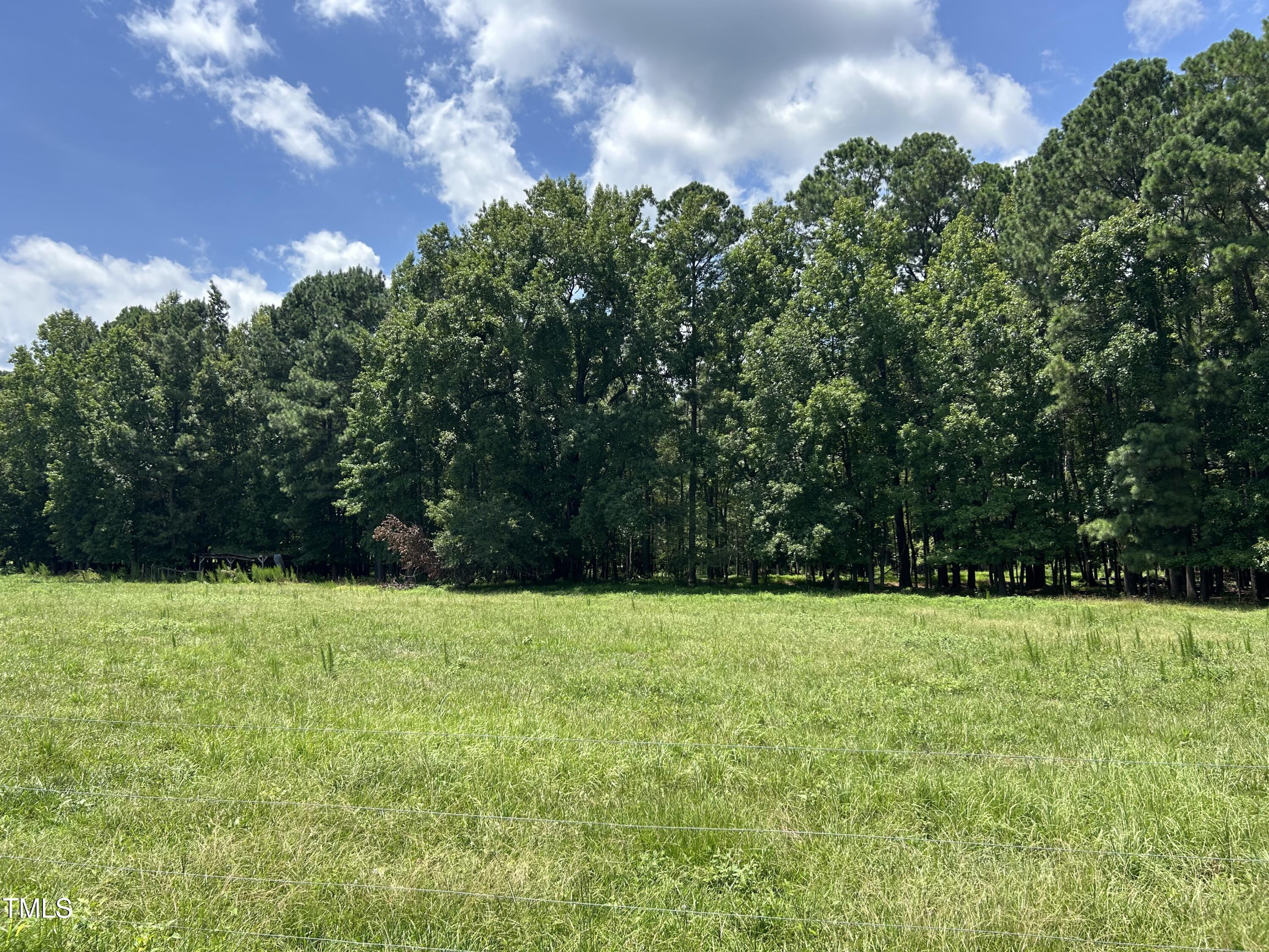 a view of white garden