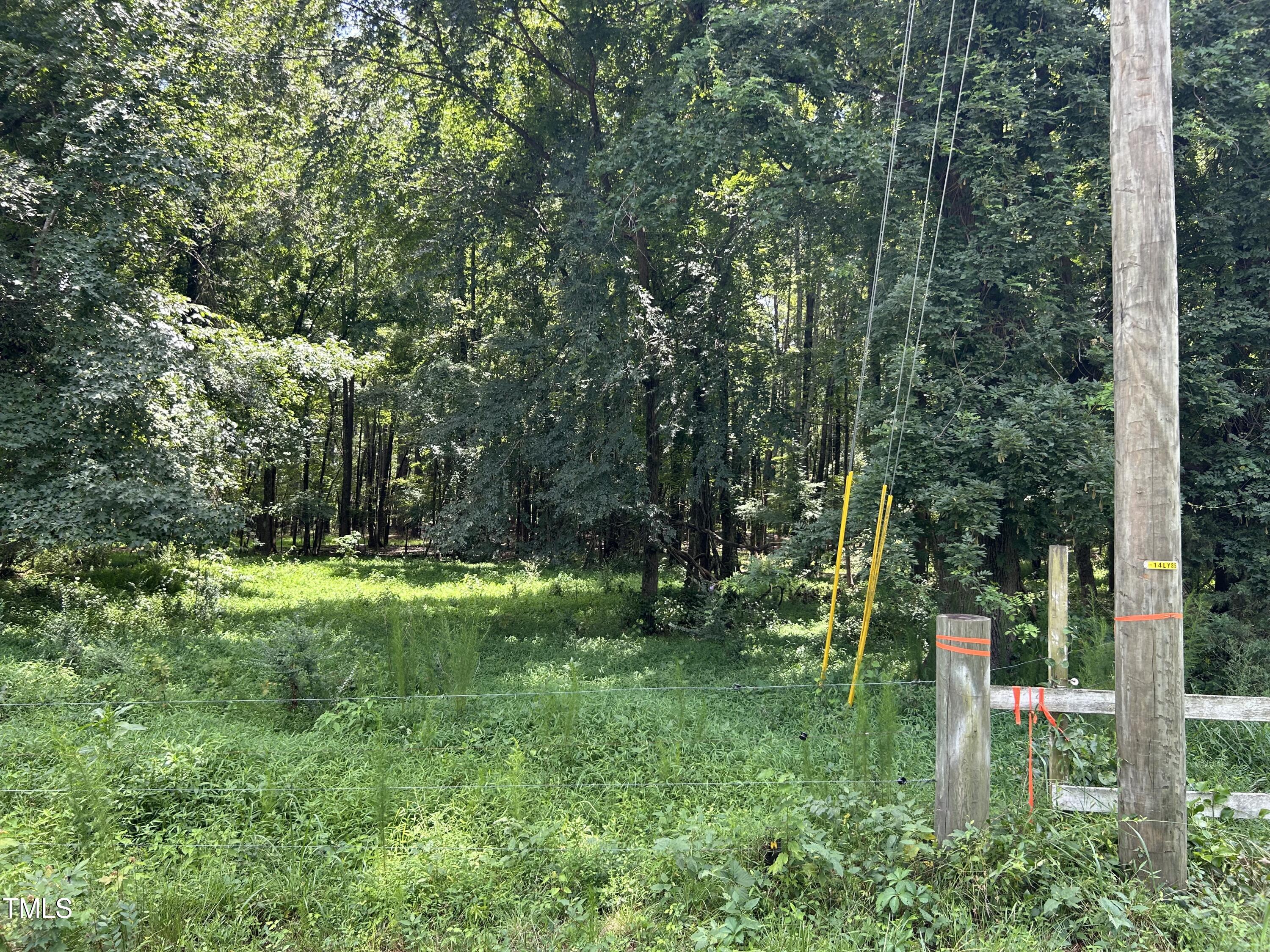 Tract A Frazier Road Spring Hope, NC 27882 - Photo 2 of 21 a view of backyard with green space