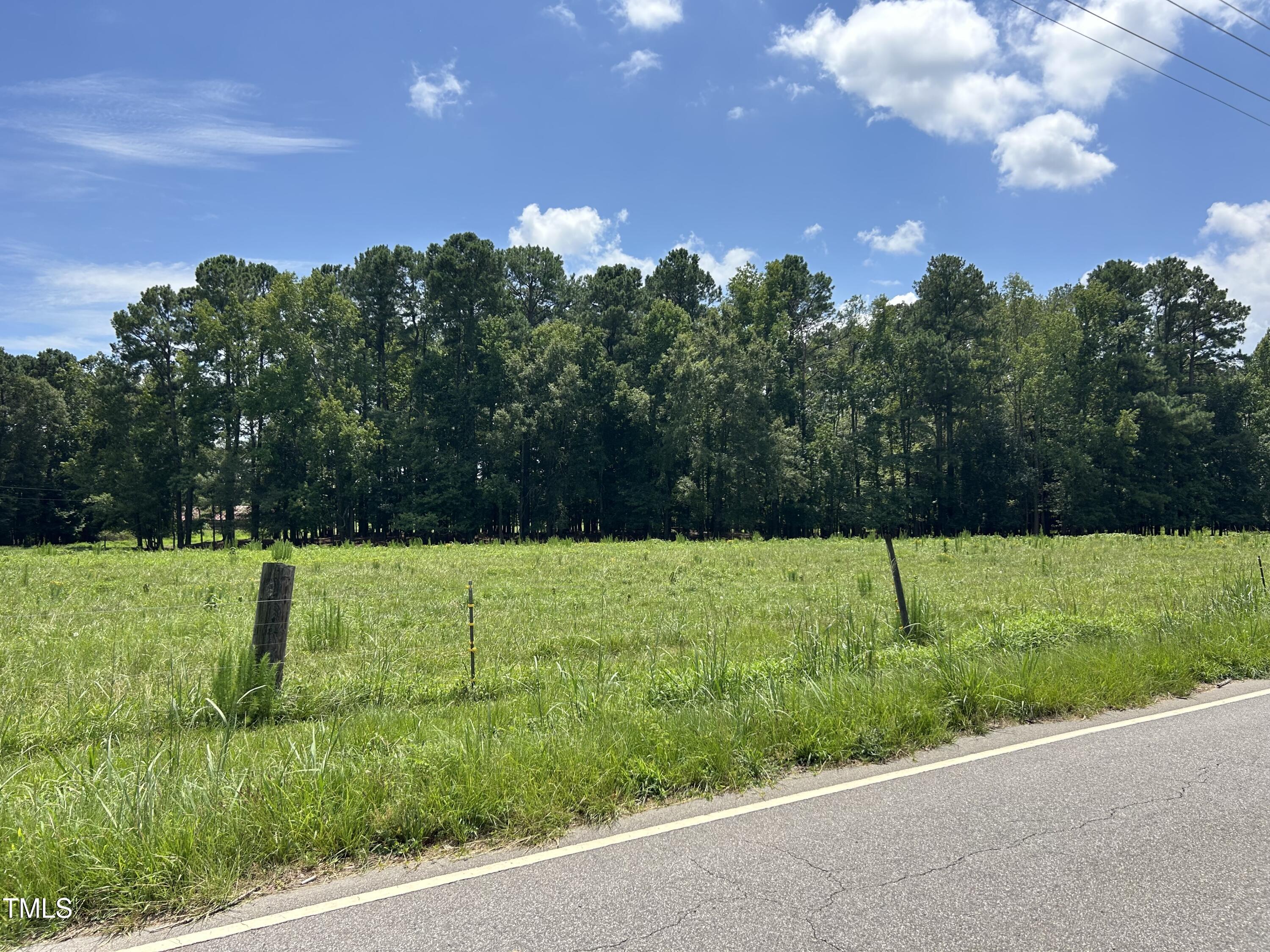 Tract A Frazier Road Spring Hope, NC 27882 - Photo 6 of 21 a view of a yard with palm trees