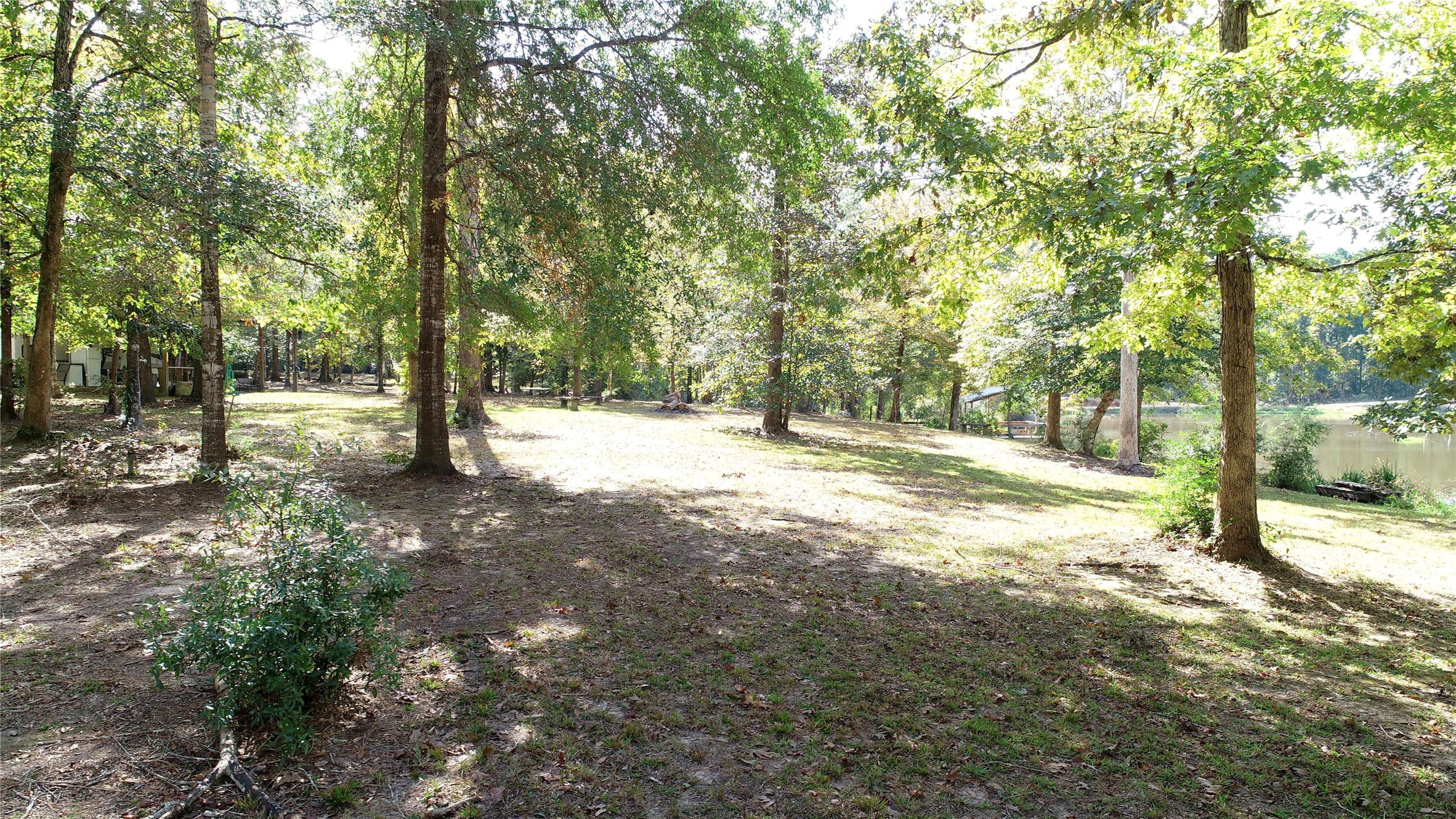 630 Hillbilly Heaven Road Livingston, TX 77351 - Photo 1 of 17 a view of outdoor space with trees