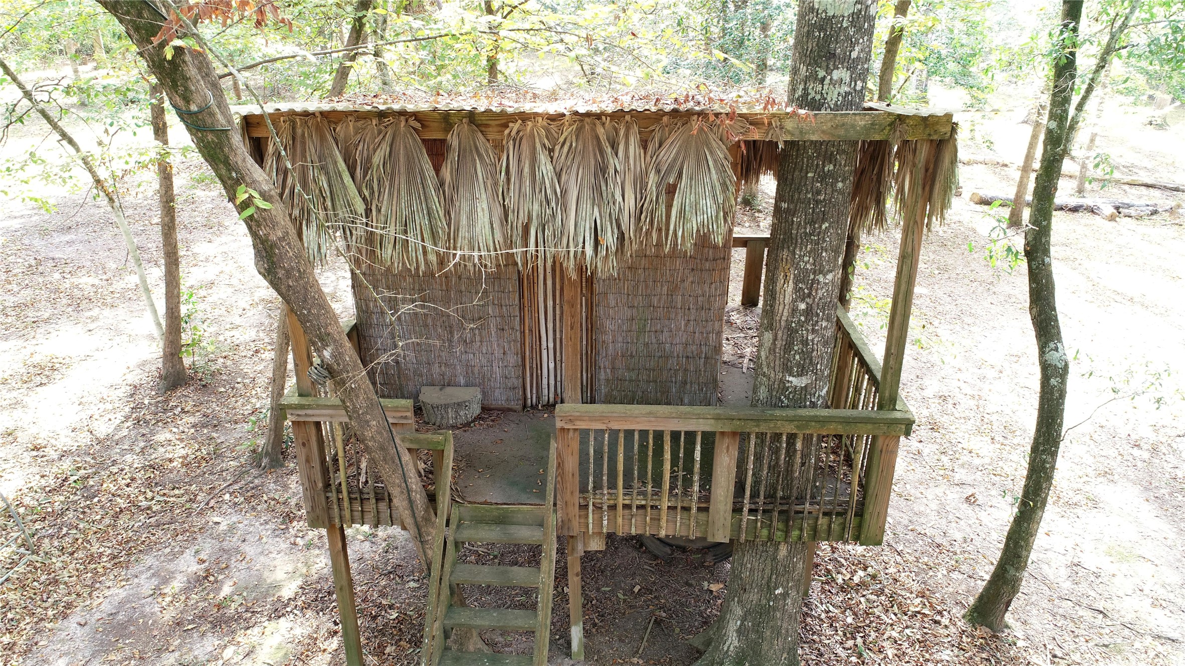 630 Hillbilly Heaven Road Livingston, TX 77351 - Photo 16 of 17 a view of a wooden fence