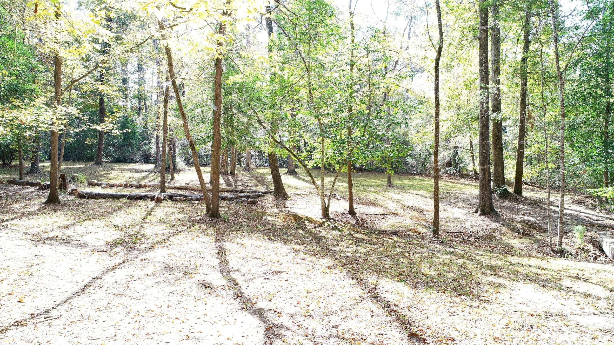 630 Hillbilly Heaven Road Livingston, TX 77351 - Photo 3 of 17 a view of yard with tree