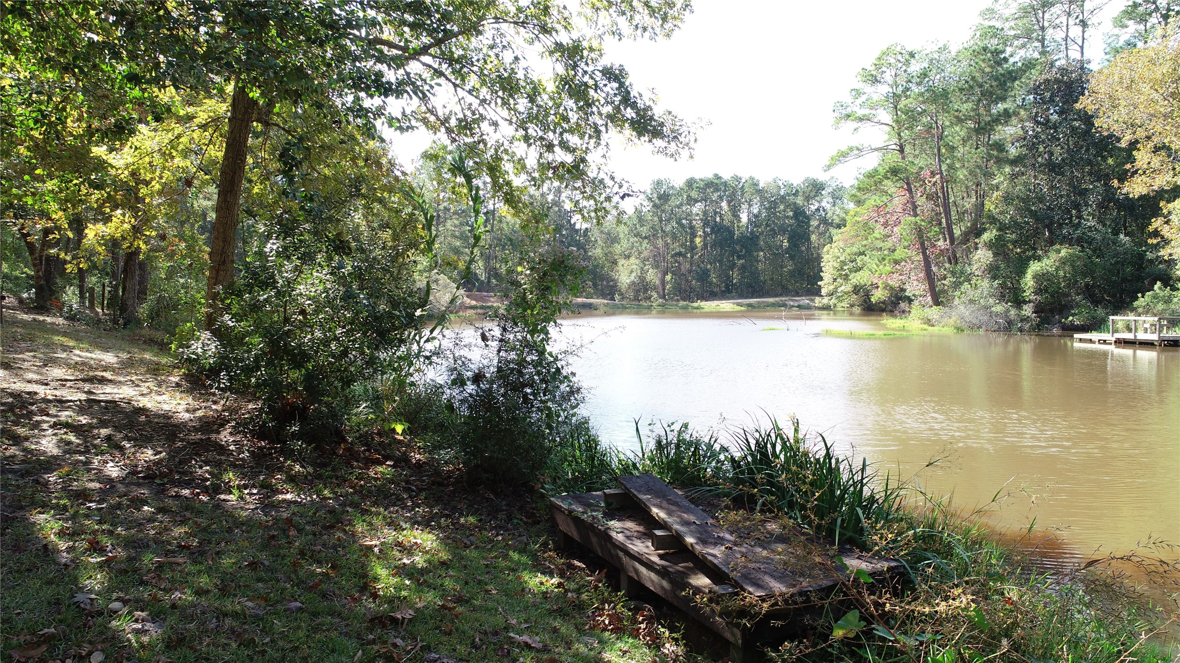630 Hillbilly Heaven Road Livingston, TX 77351 - Photo 4 of 17 a view of lake with green space