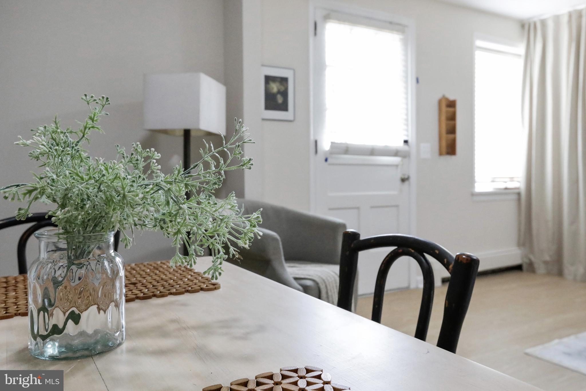 1900 Princess Anne Street, Unit 5 Fredericksburg, VA 22401 - Photo 16 of 19 a view of a potted plant in a kitchen