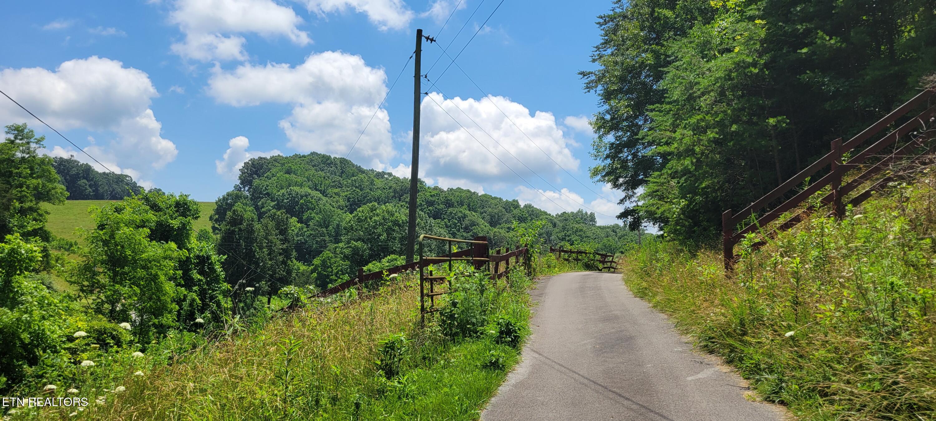 151 Rolen Road New Tazewell, TN 37825 - Photo 14 of 38 14
