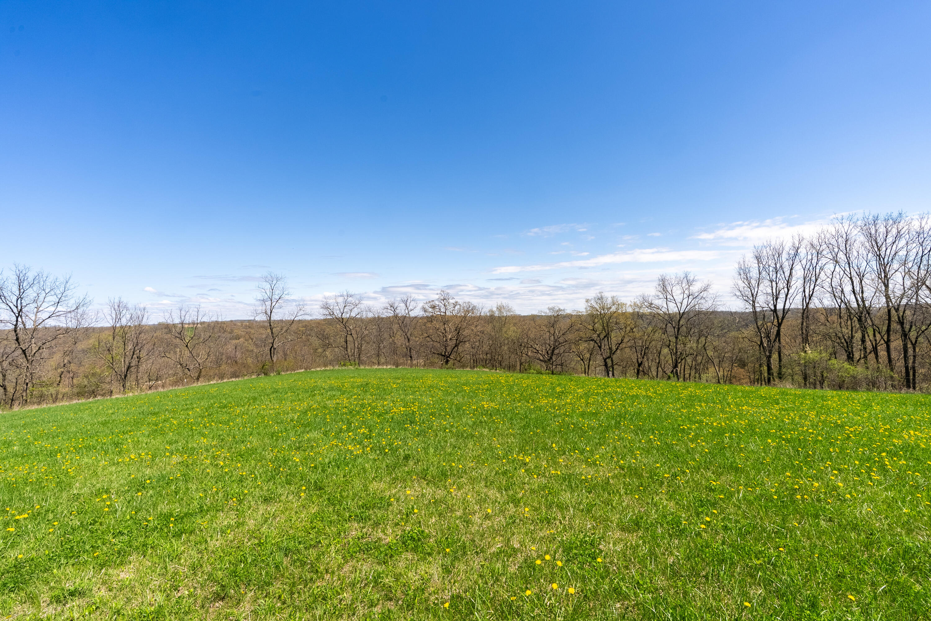 52303 Monroe Lane Wauzeka, WI 53826 - Photo 32 of 32 52303 Monroe Ln Wauzeka, WI Lot - Edits-