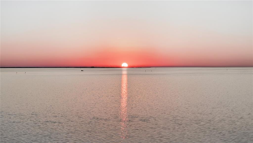 5124 South Shore Drive New Port Richey, FL 34652 - Photo 87 of 100