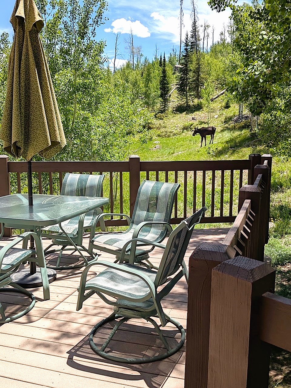 1516 Blue Ridge Road Silverthorne, CO 80498 - Photo 29 of 50 View of wooden terrace