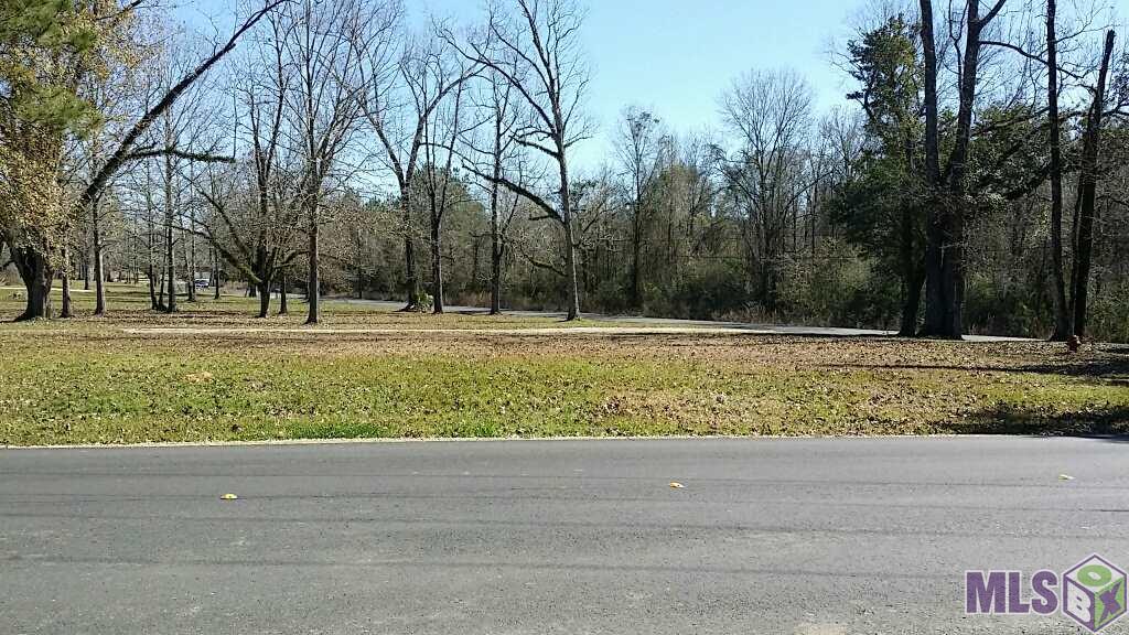 12541 Hammack Road Denham Springs, LA 70726 - Photo 9 of 9 Directly across Joe MayRd