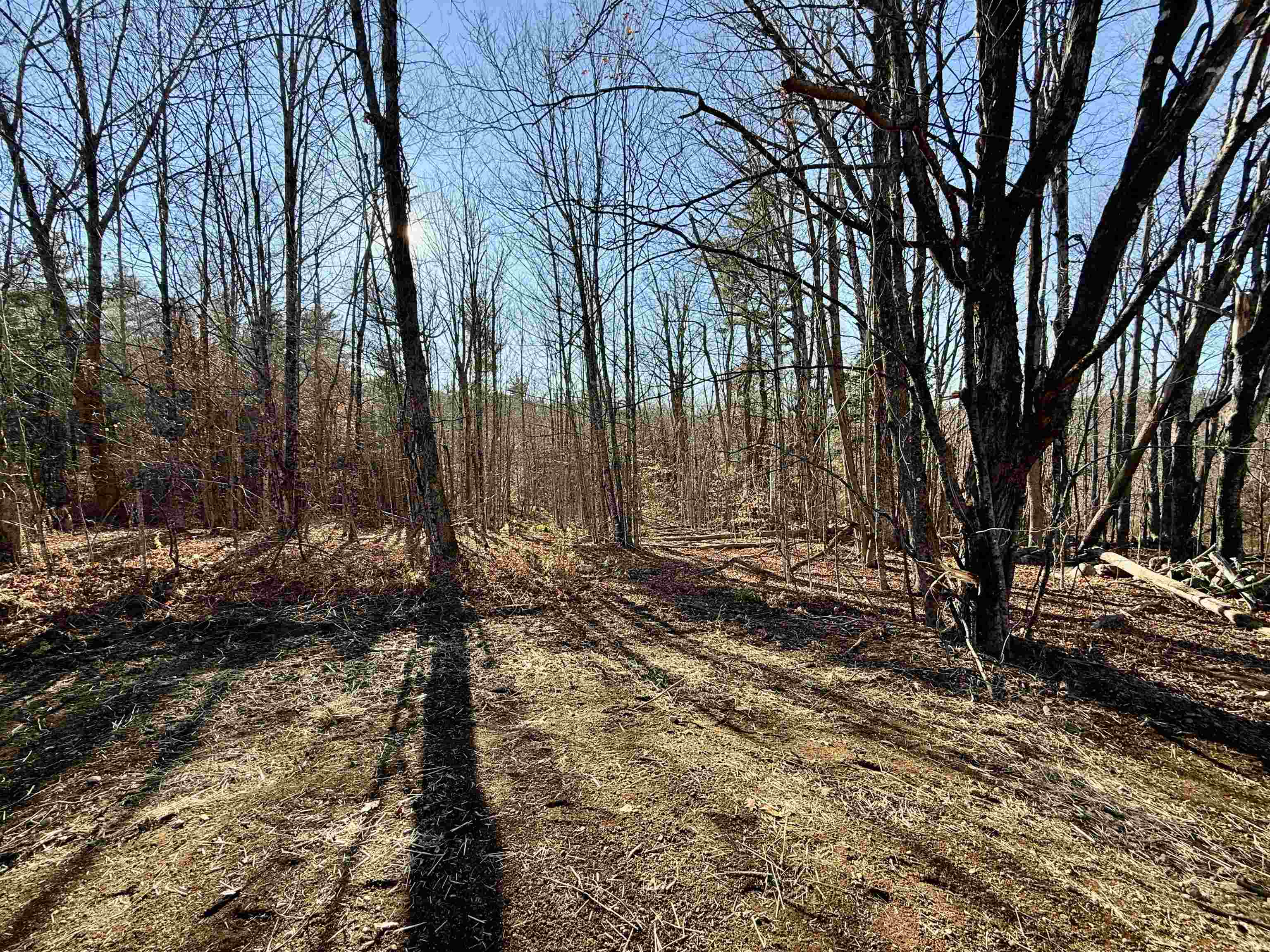 82 Edgerly School Road Meredith, NH 03253 - Photo 31 of 41